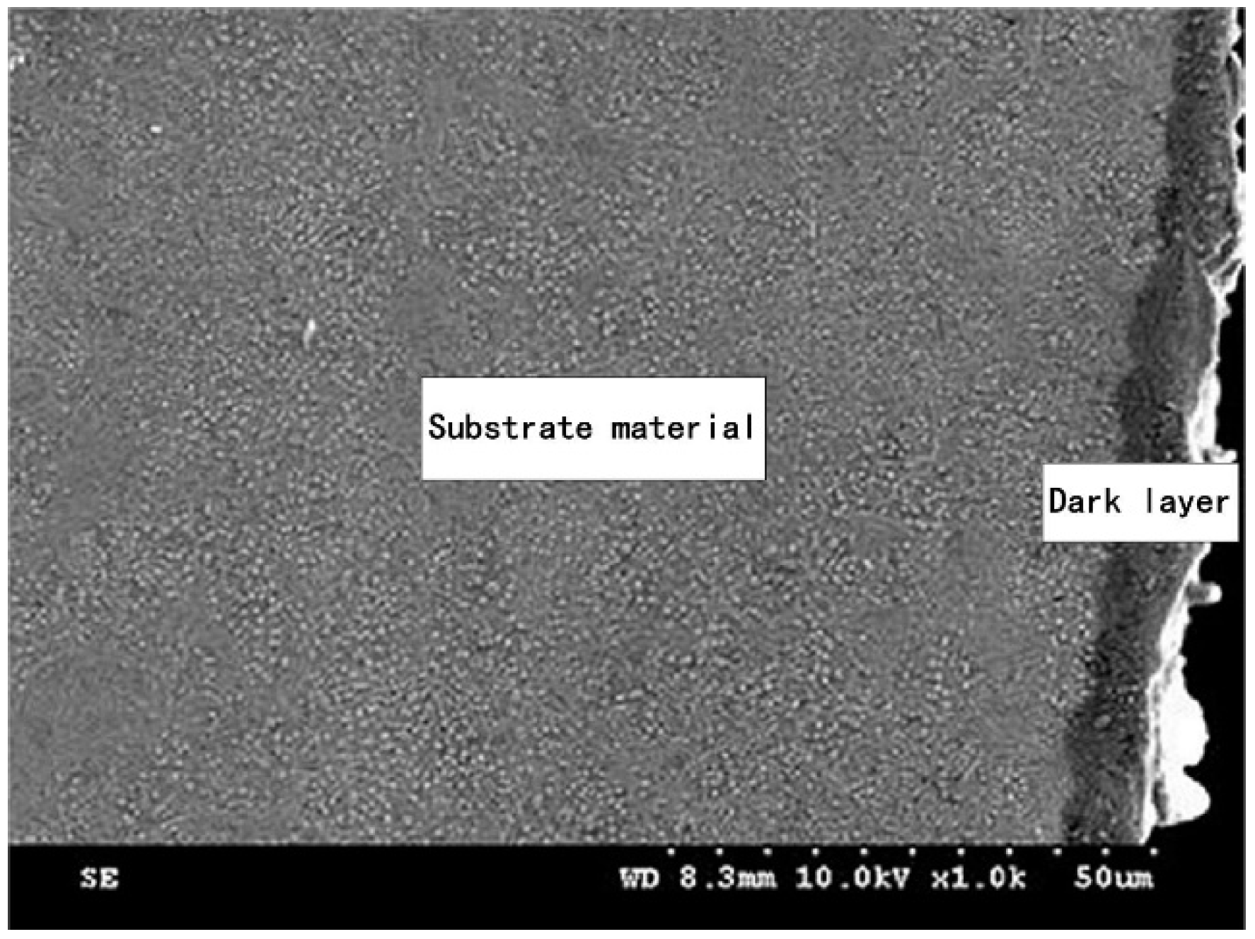 Processes 11 00064 g010