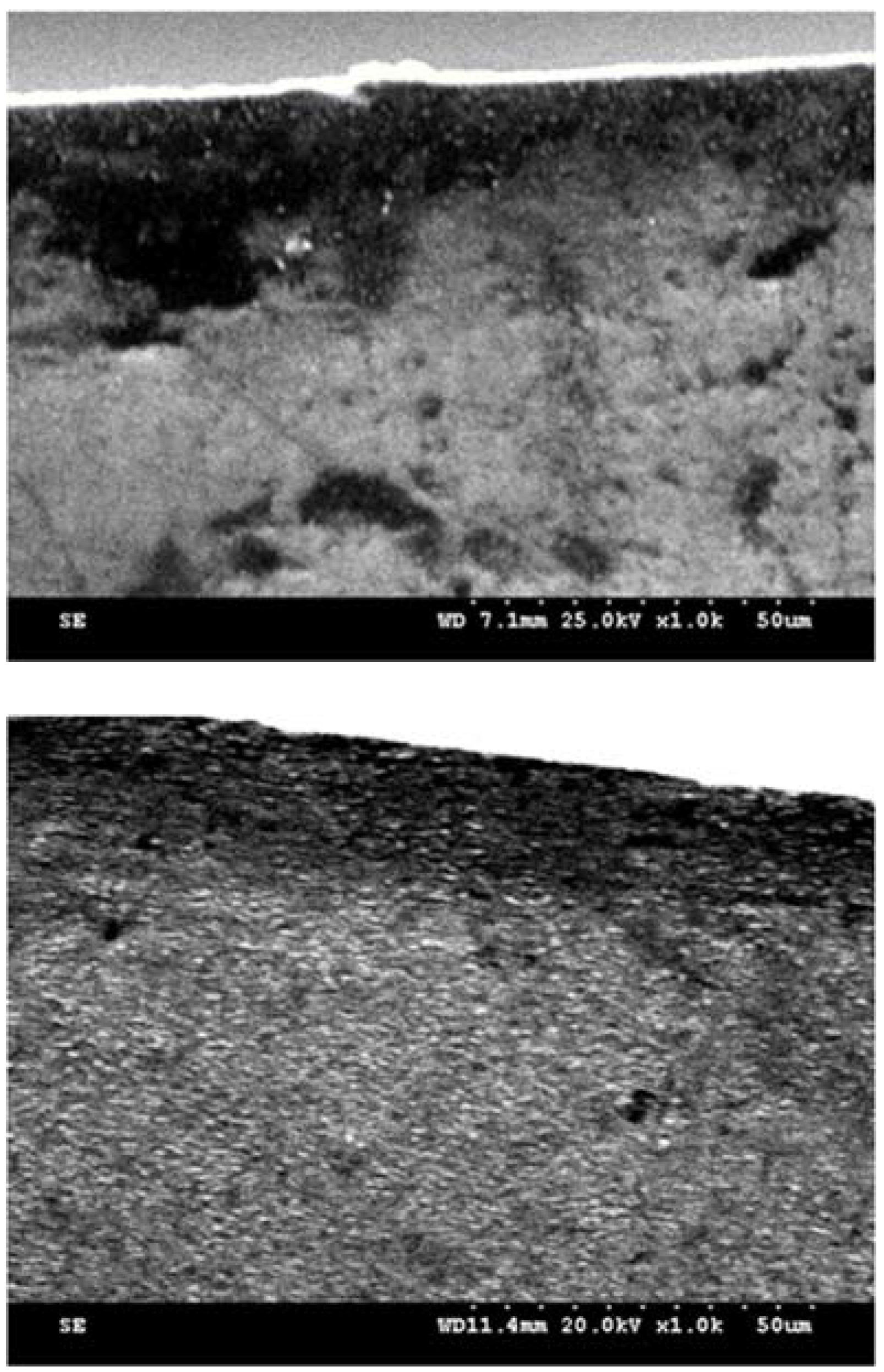 Processes 11 00064 g012