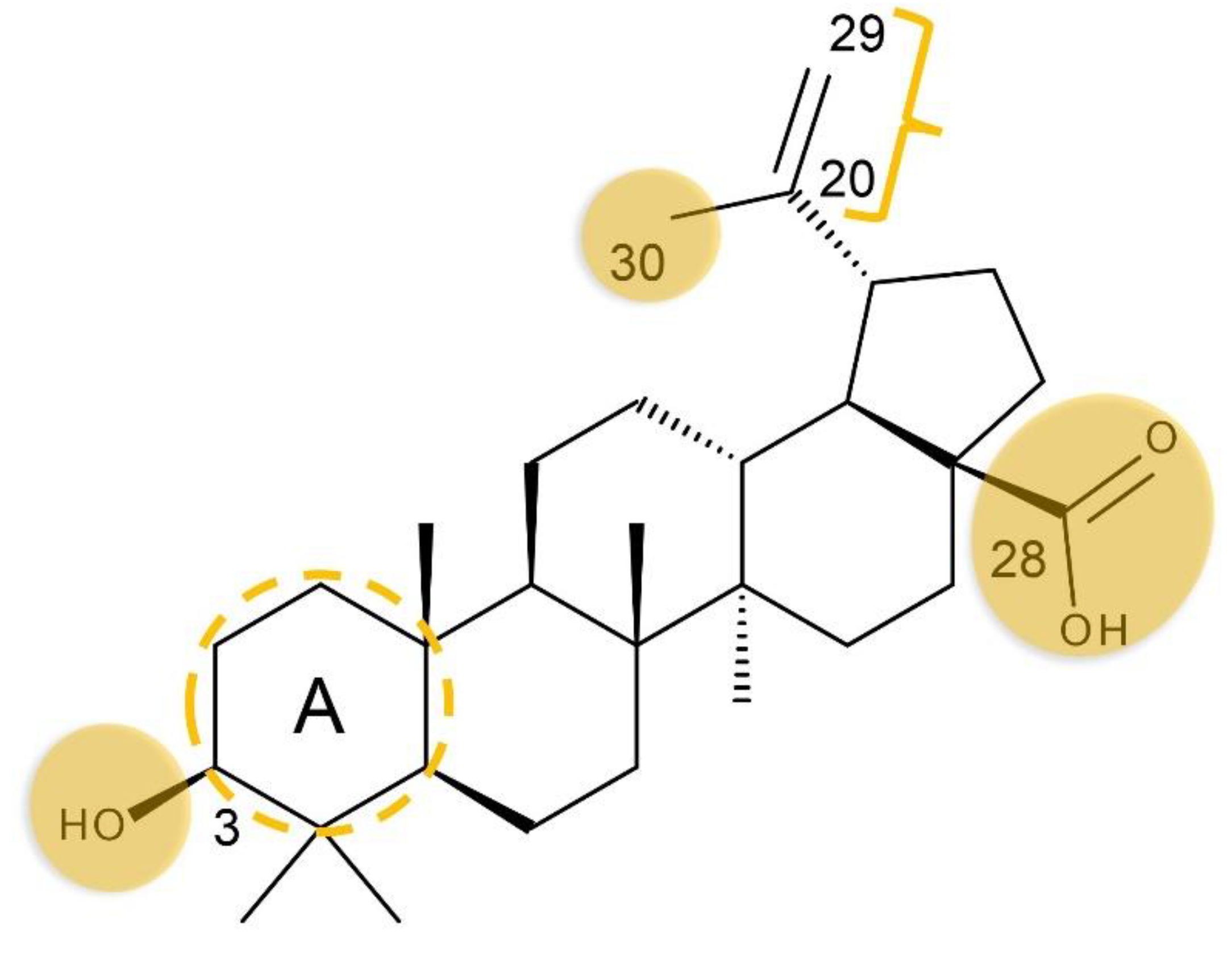 Processes 11 00101 g001