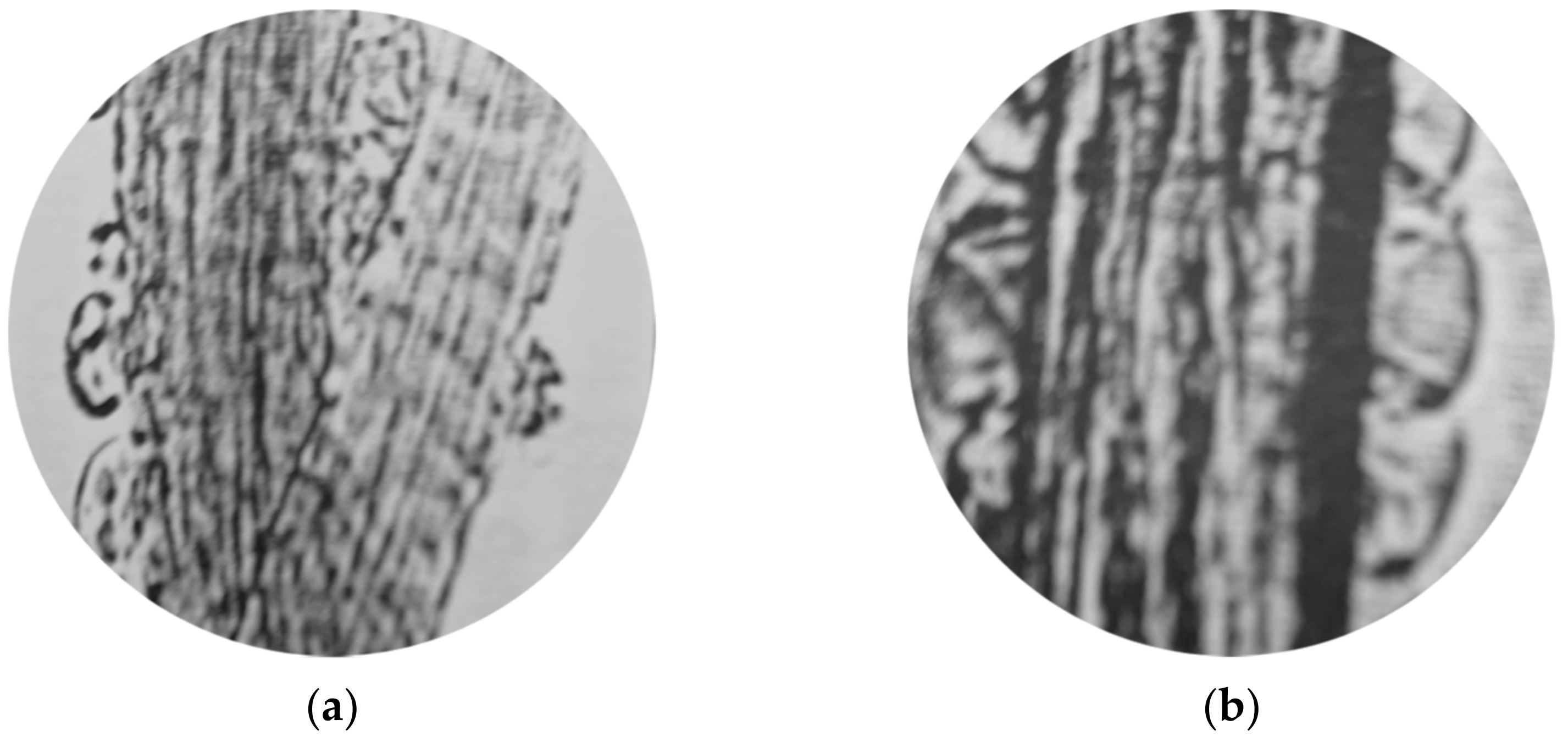 Processes 11 00103 g001