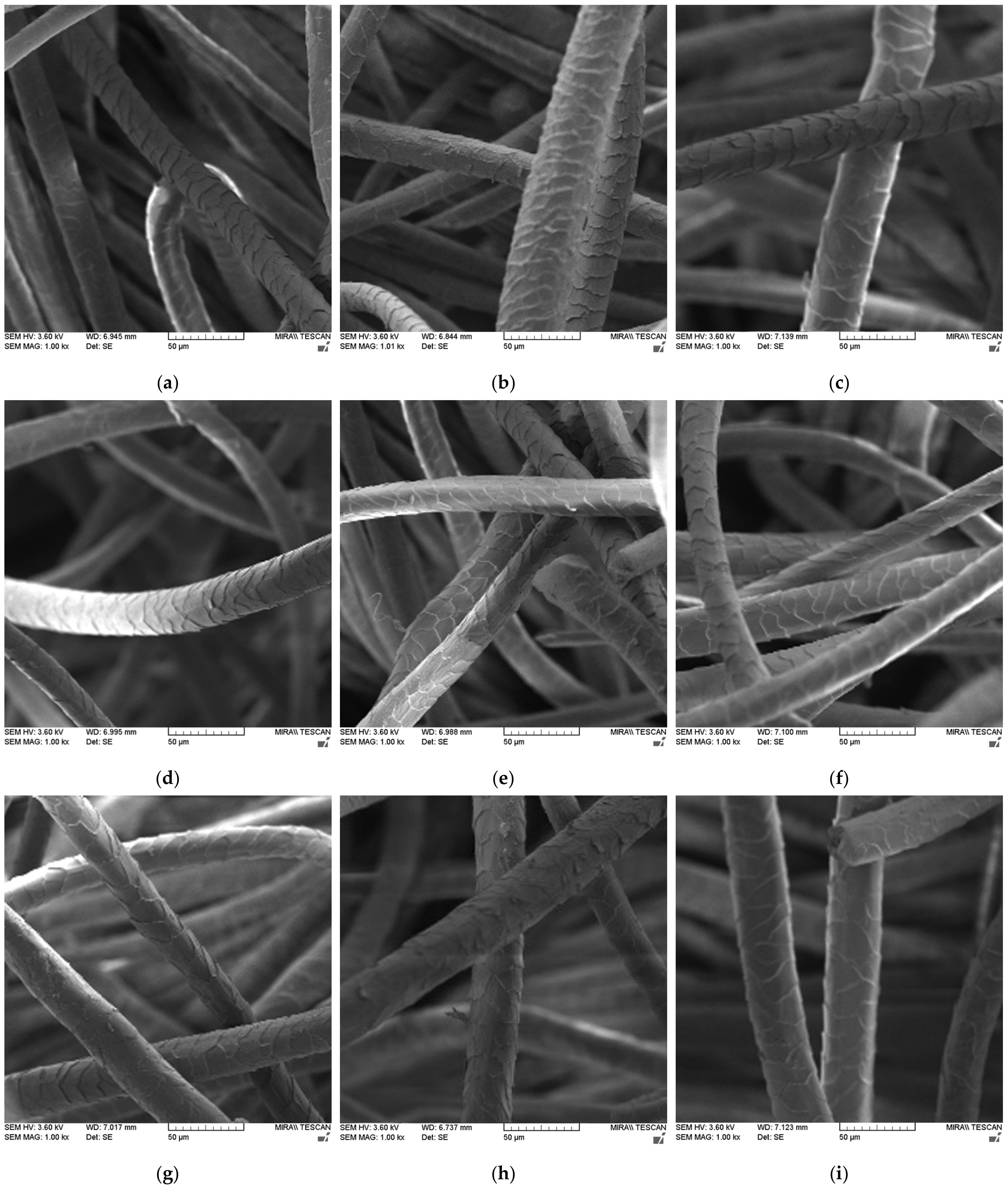 Processes 11 00103 g003