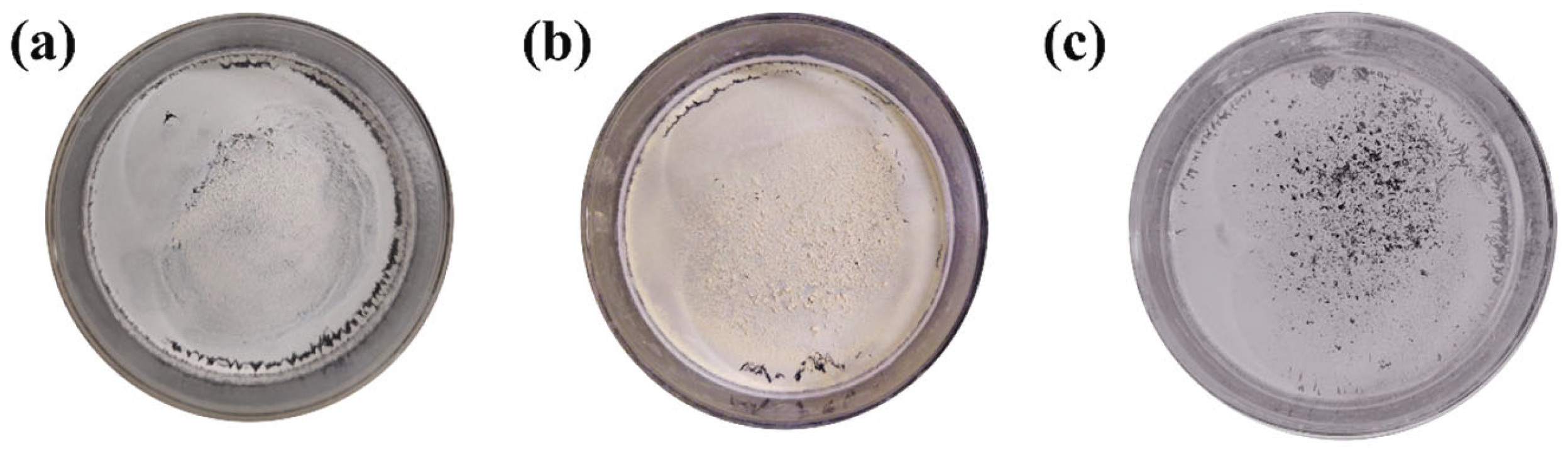 Processes 11 00115 g001
