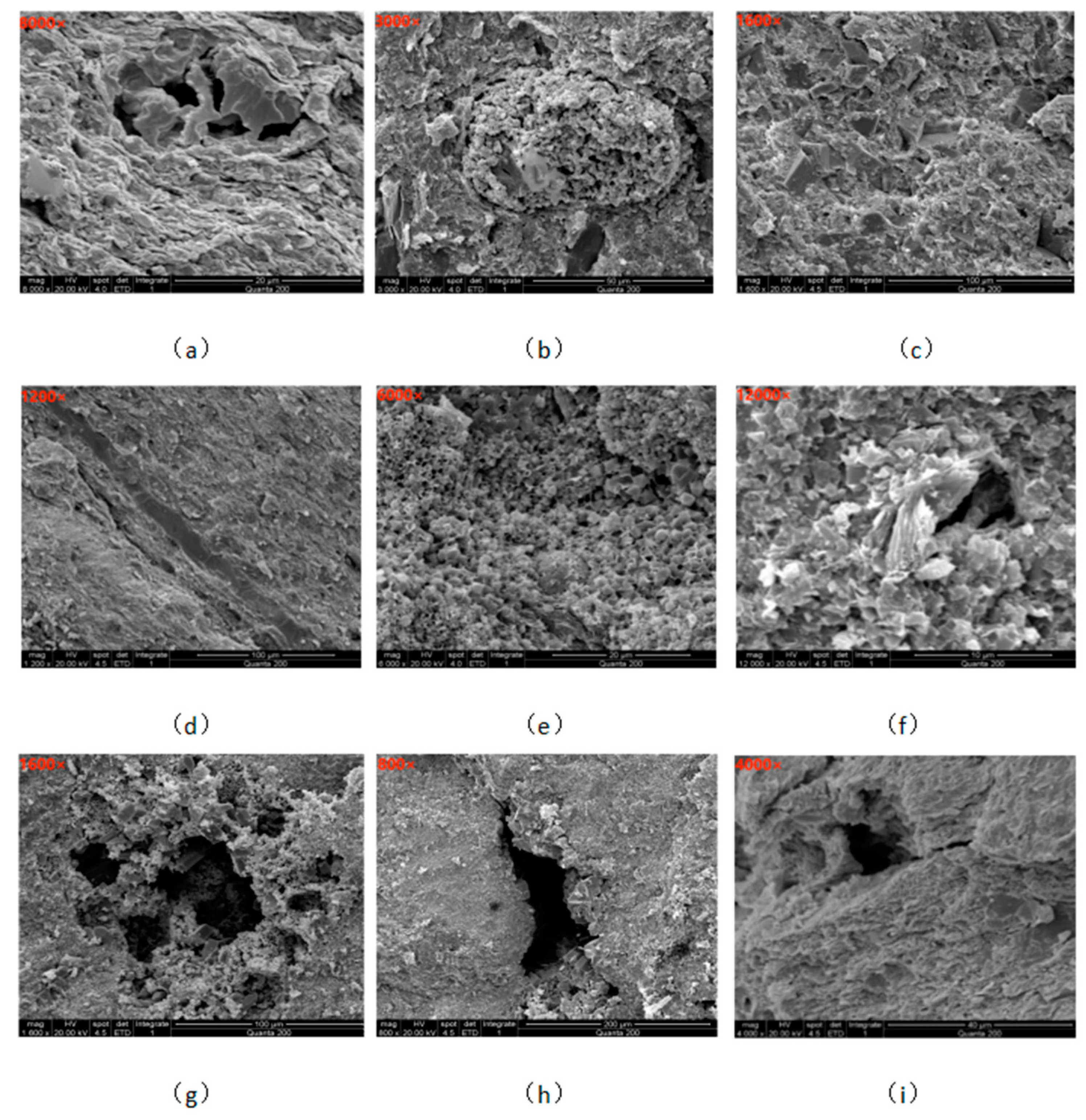 Processes 11 00135 g005