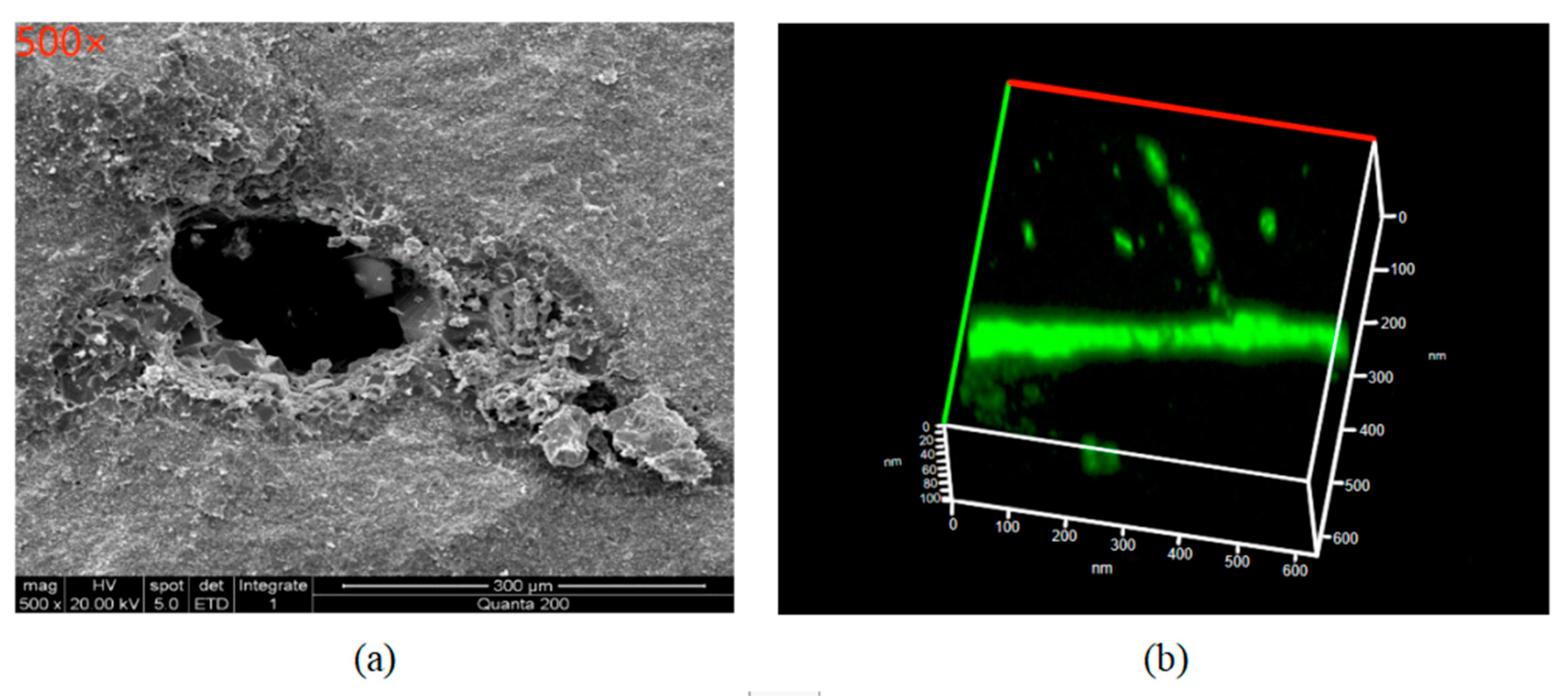 Processes 11 00135 g007