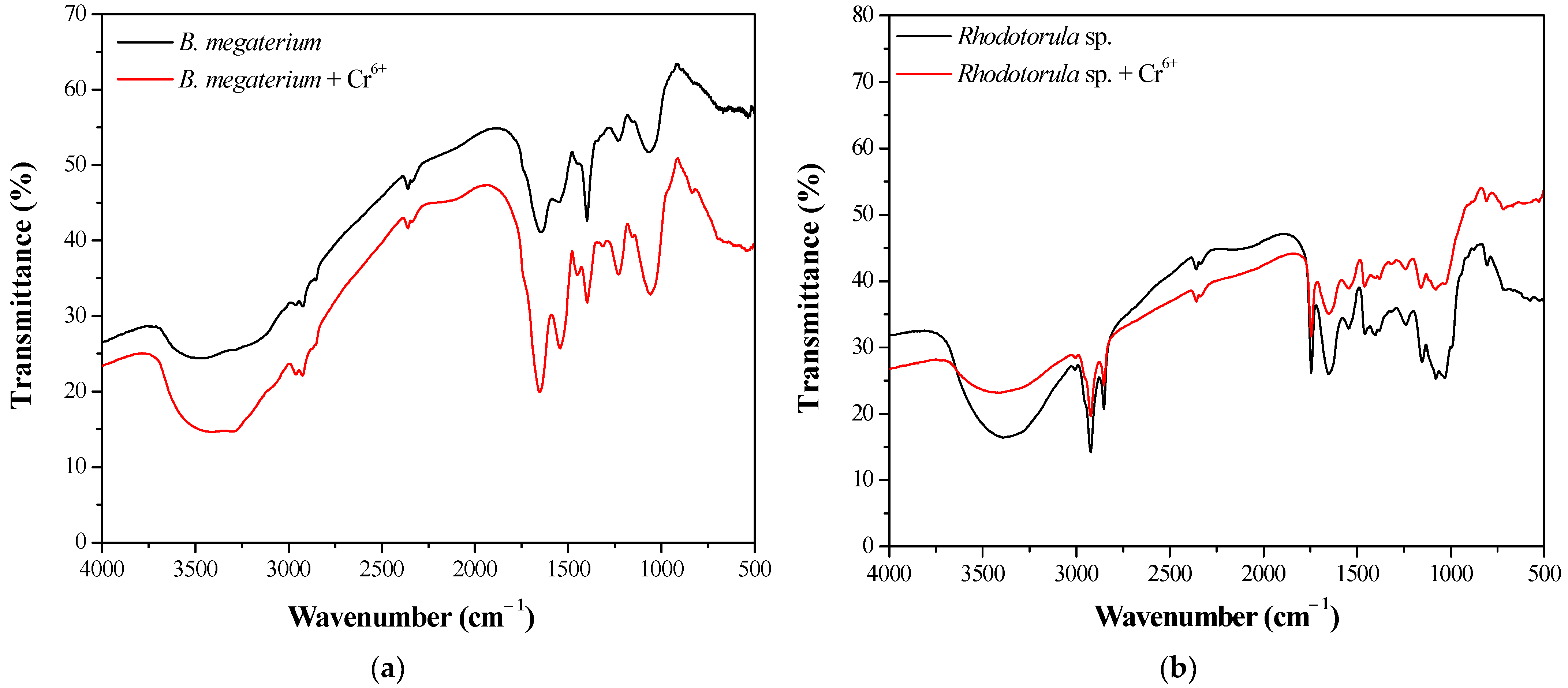 Processes 11 00179 g010