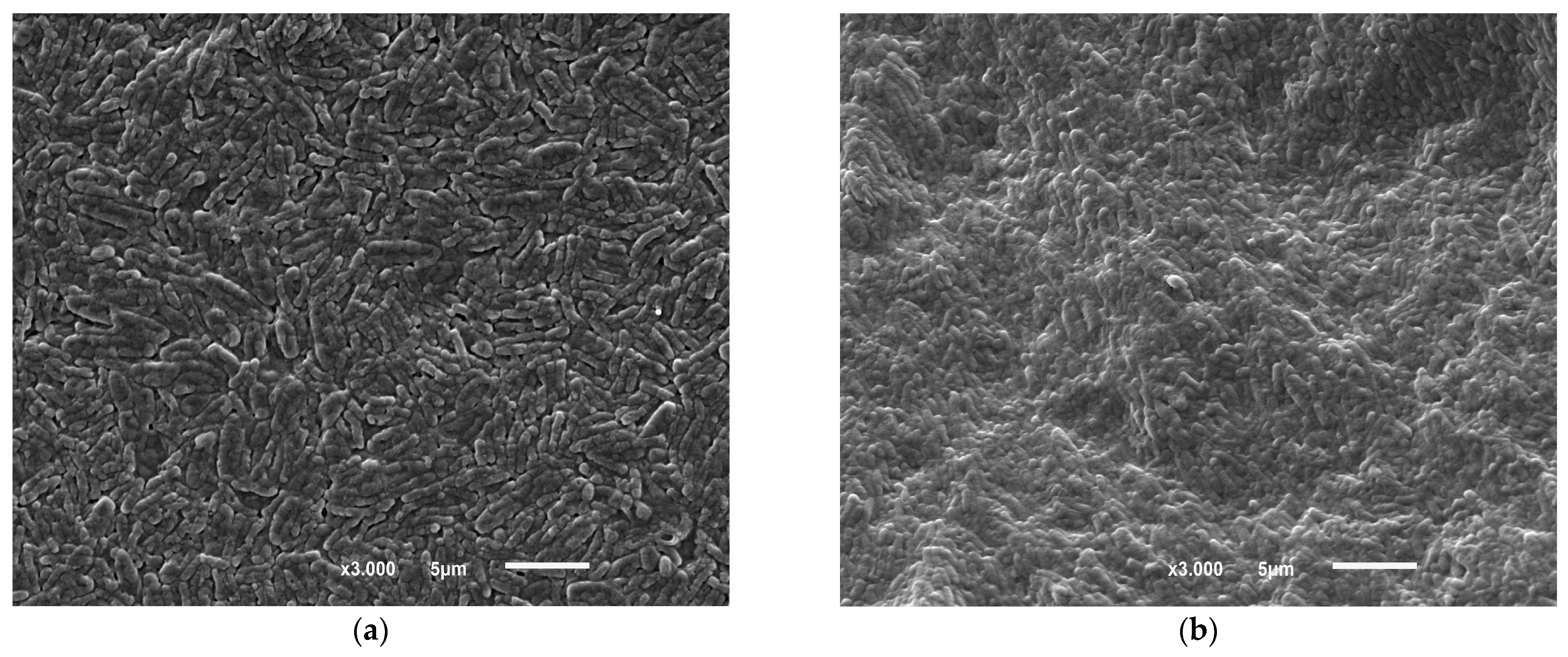 Processes 11 00179 g011