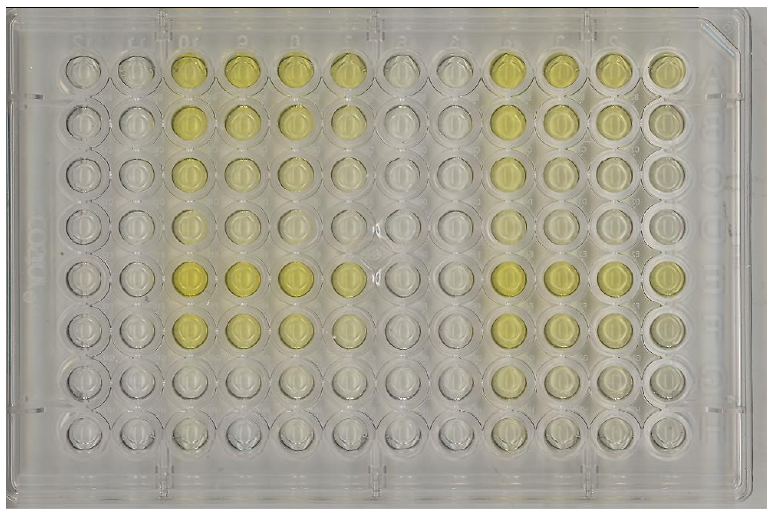 Processes 11 00194 g002