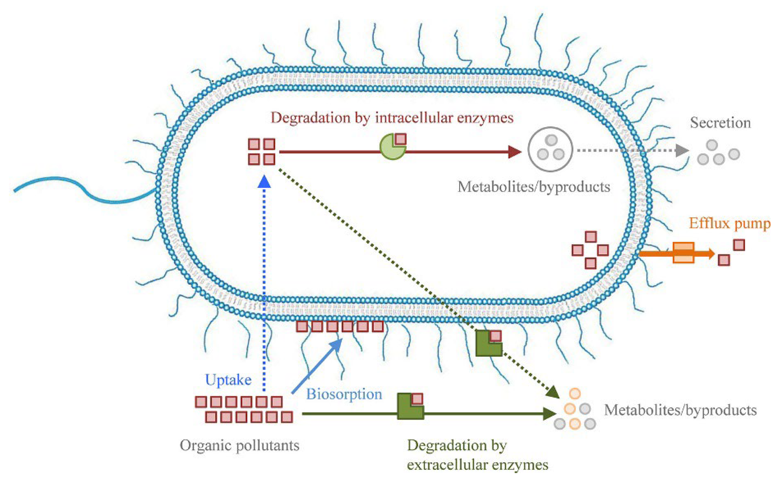 Processes 11 00246 g006