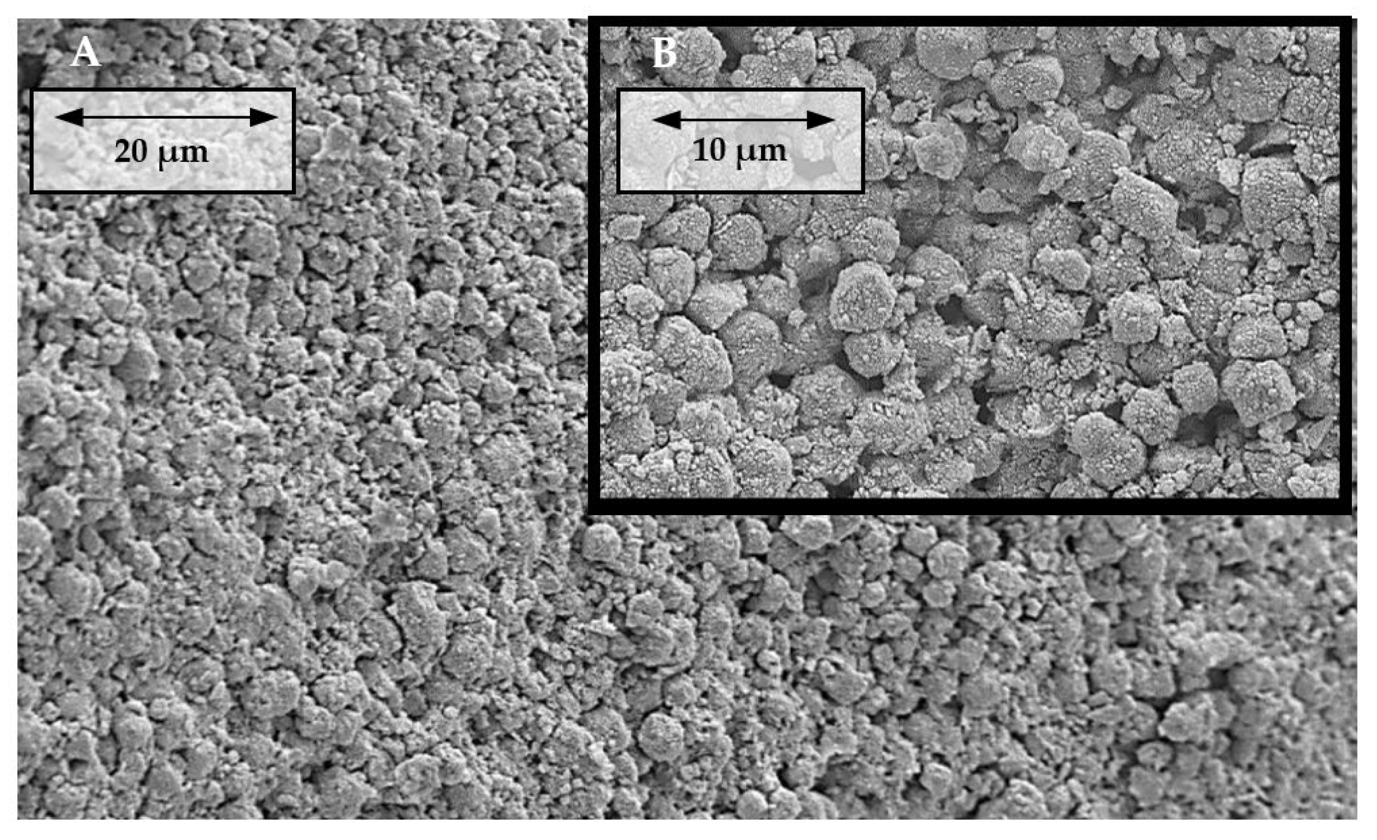 Processes 11 00246 g009