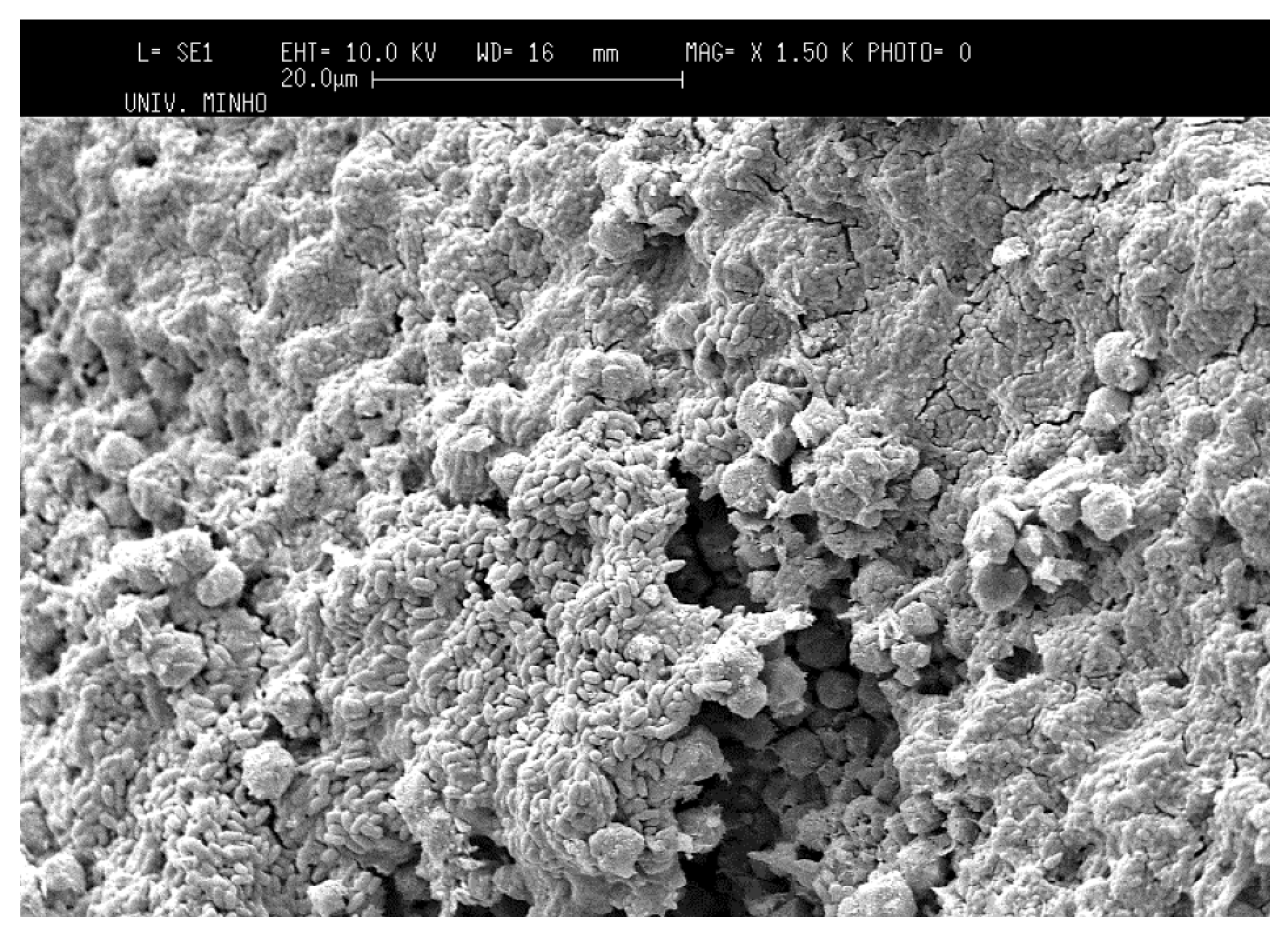 Processes 11 00246 g010