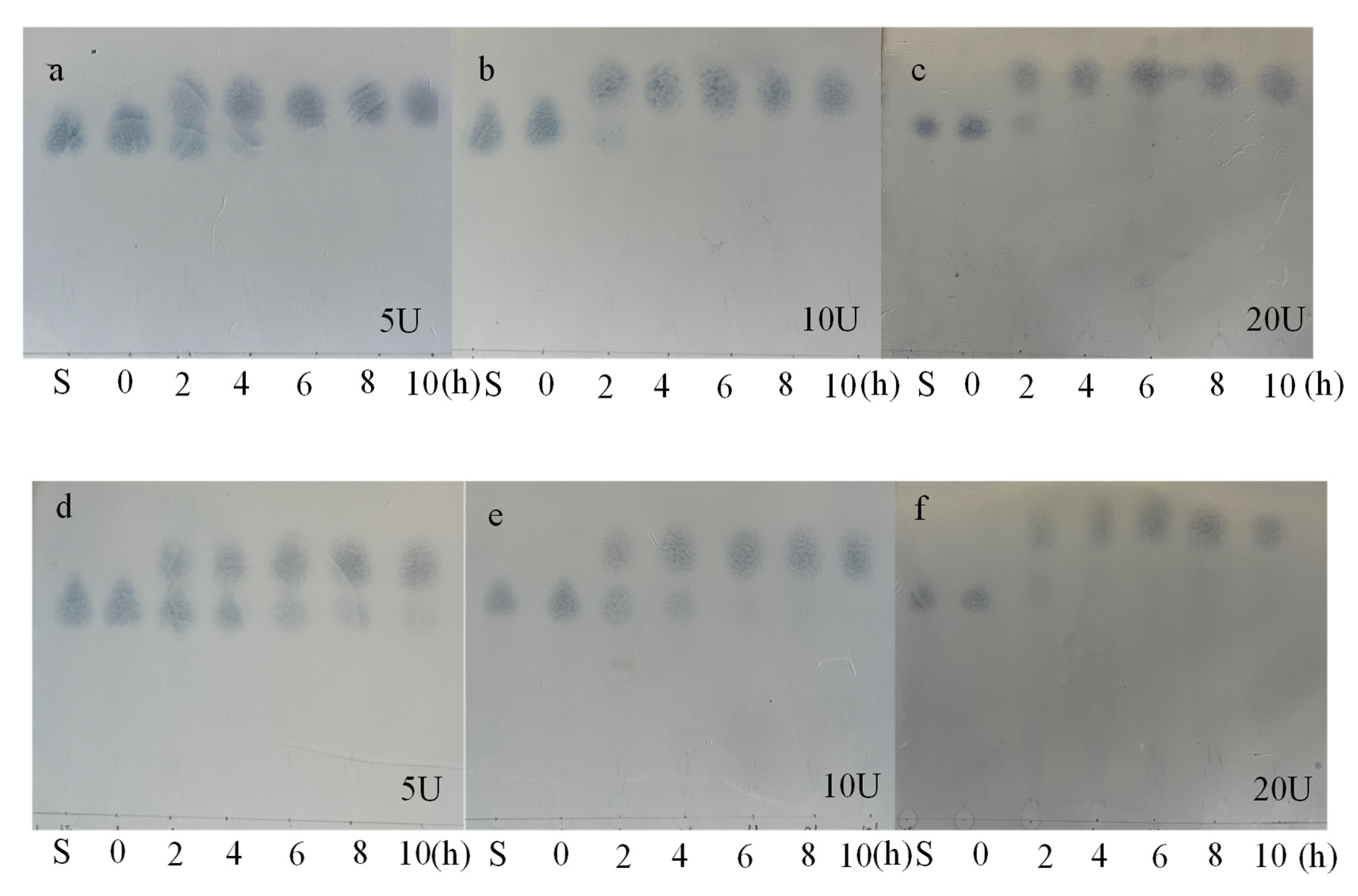 Processes 11 00255 g005