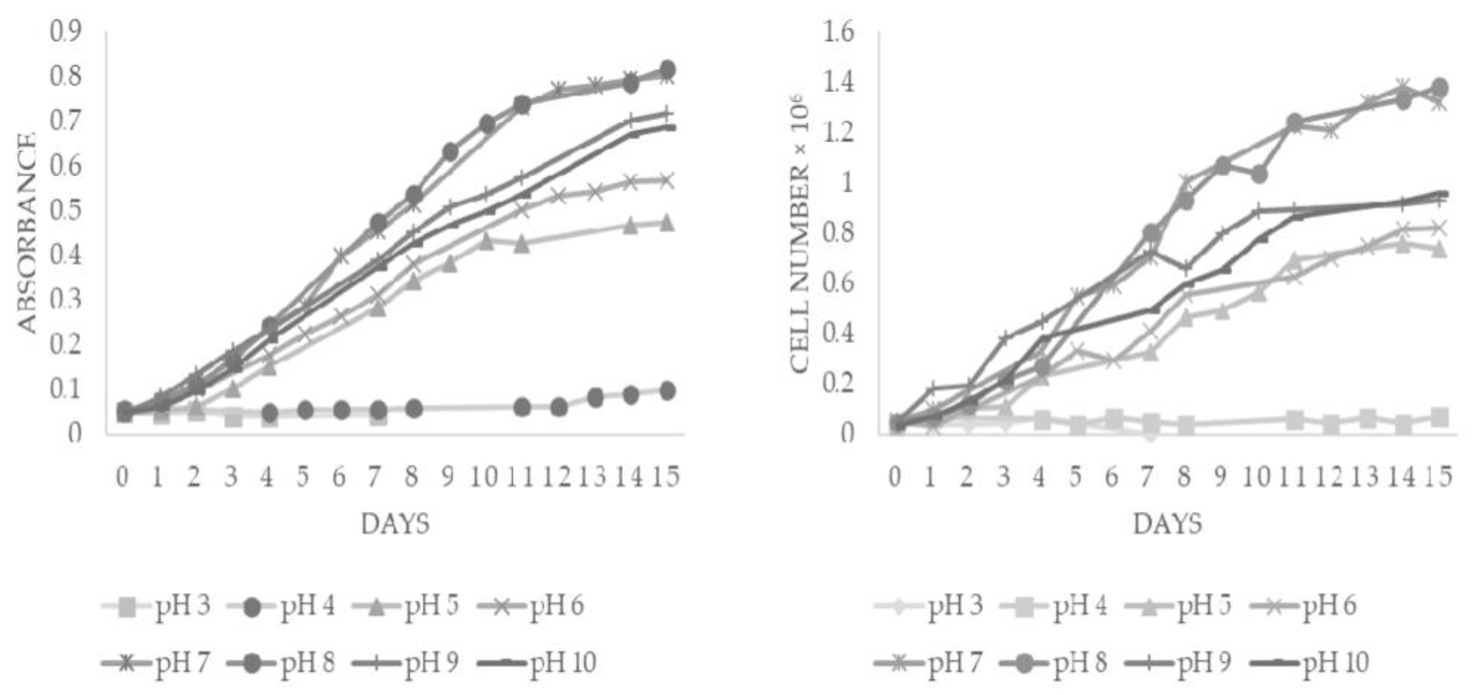 Processes 11 00292 g003