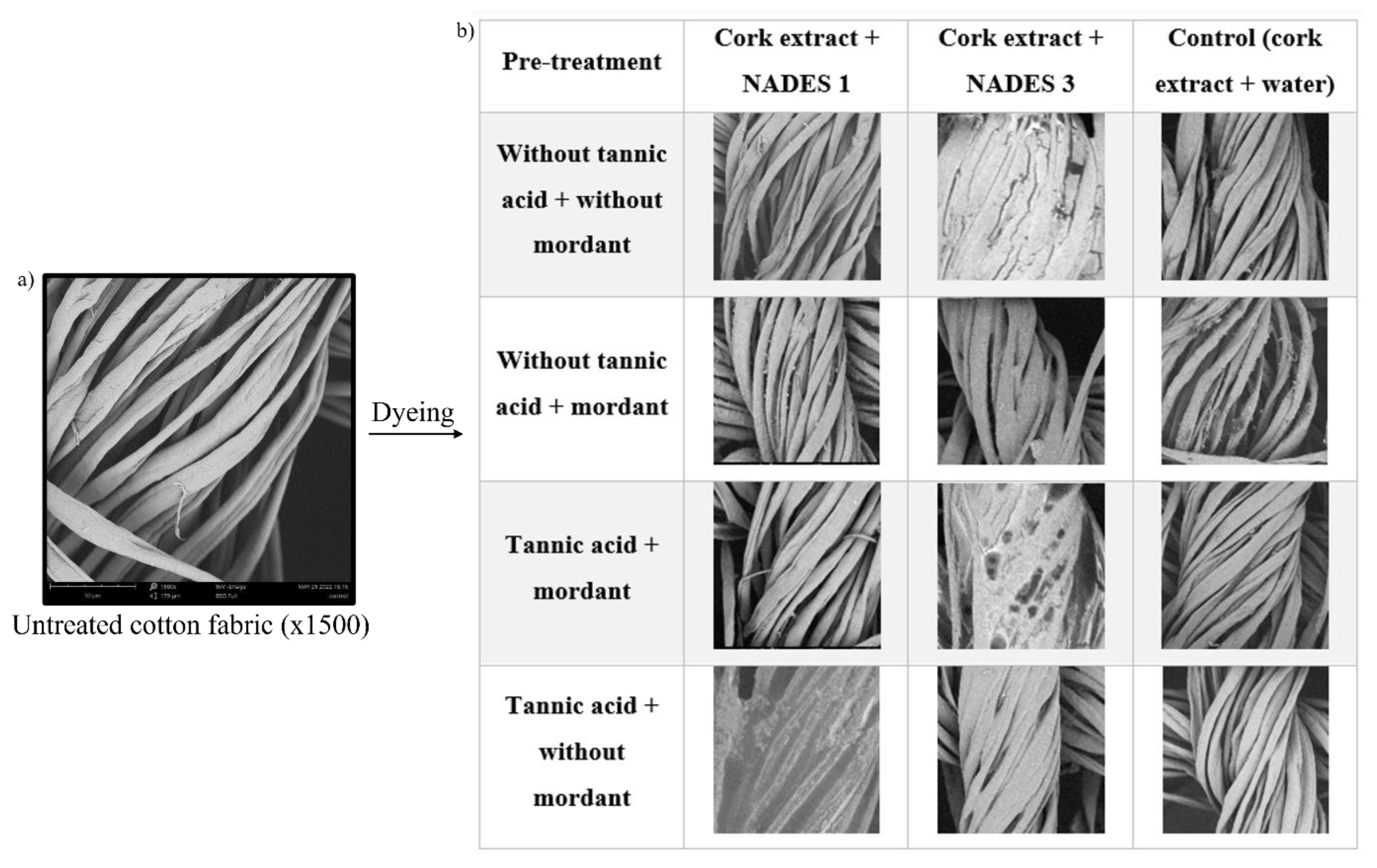 Processes 11 00309 g009 Processes 11 00309 g009