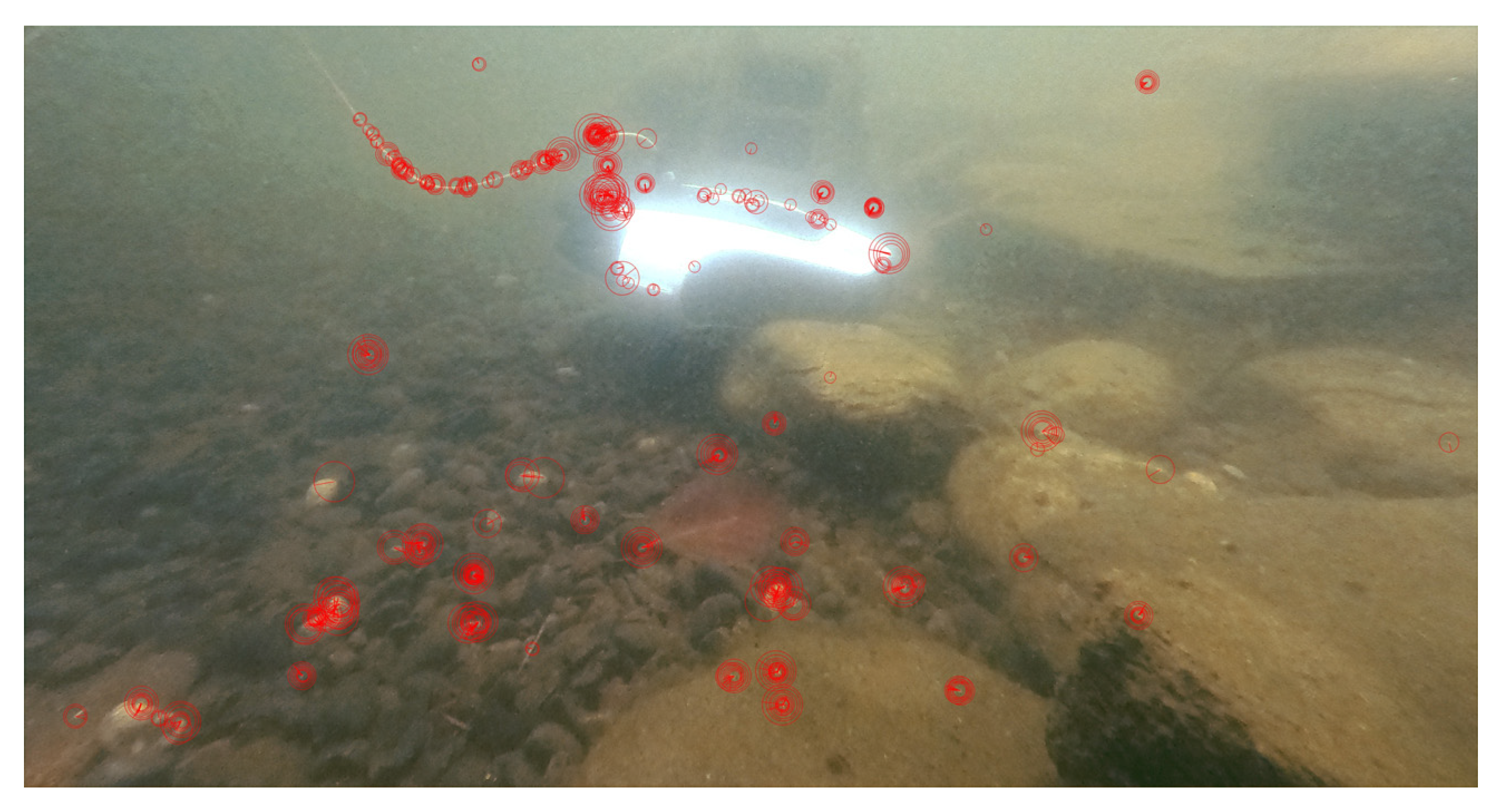 Processes 11 00312 g011