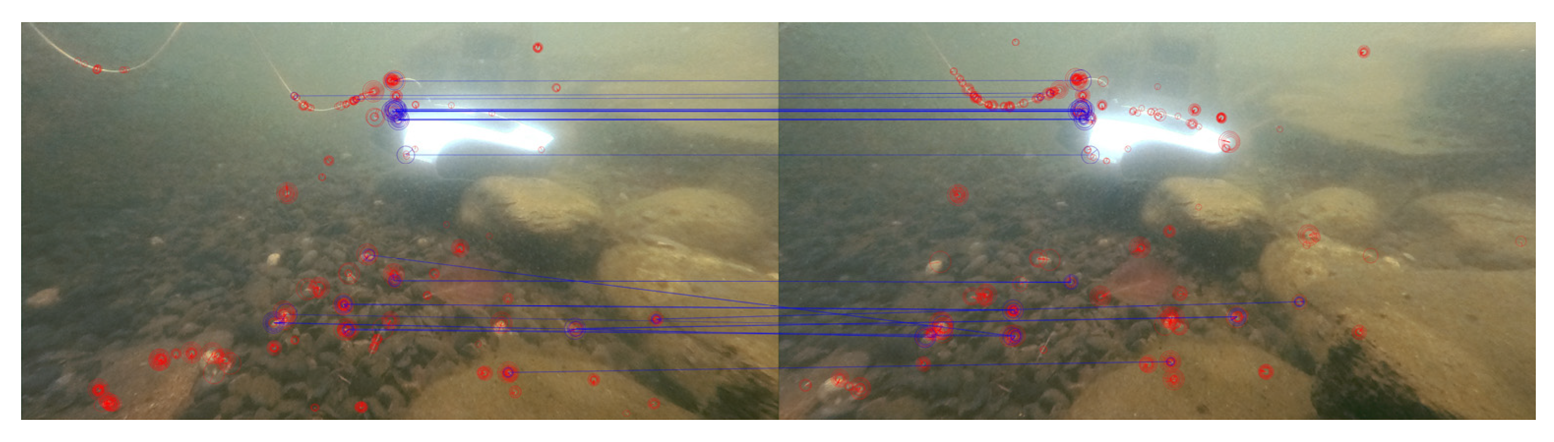 Processes 11 00312 g012