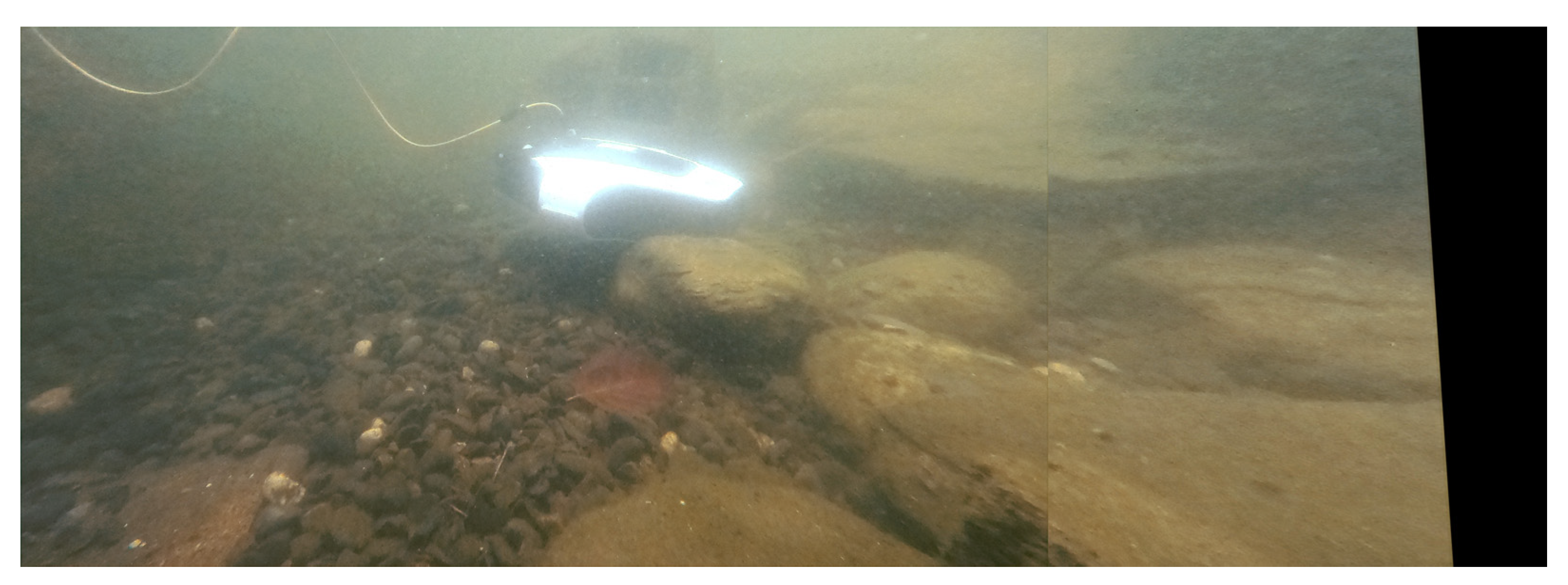 Processes 11 00312 g013