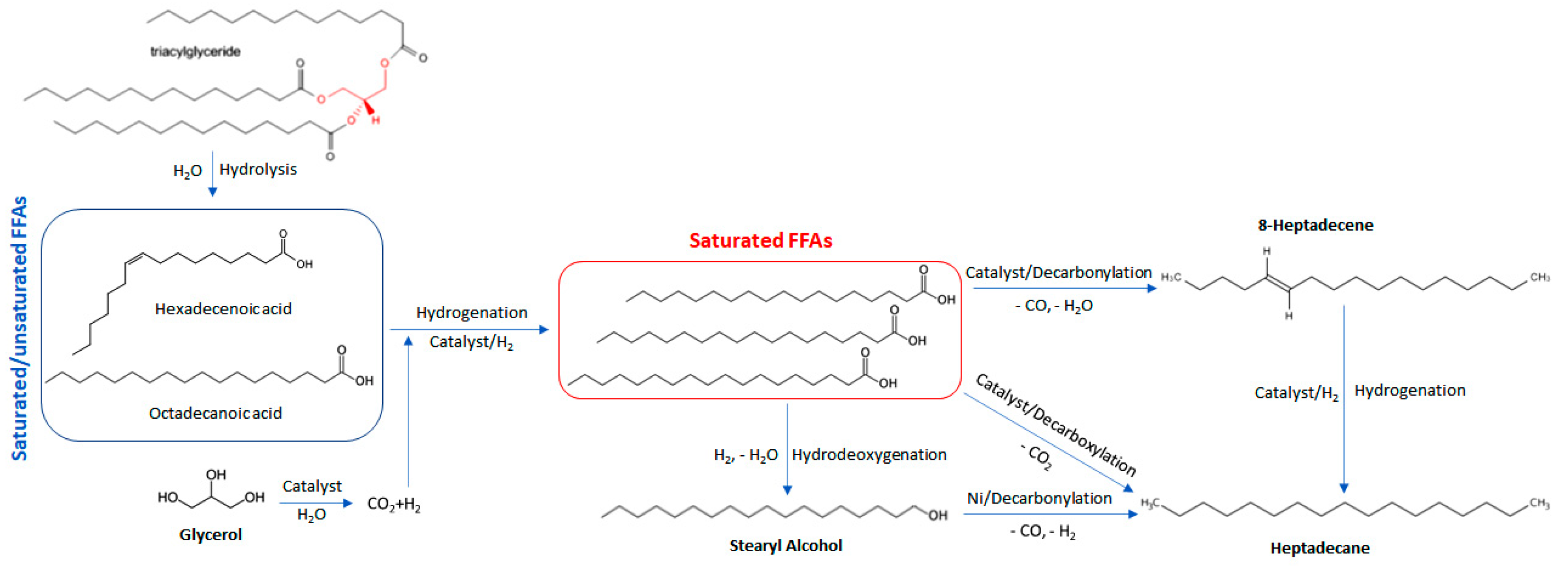 Processes 11 00324 g006