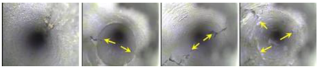 Processes 11 00350 i003