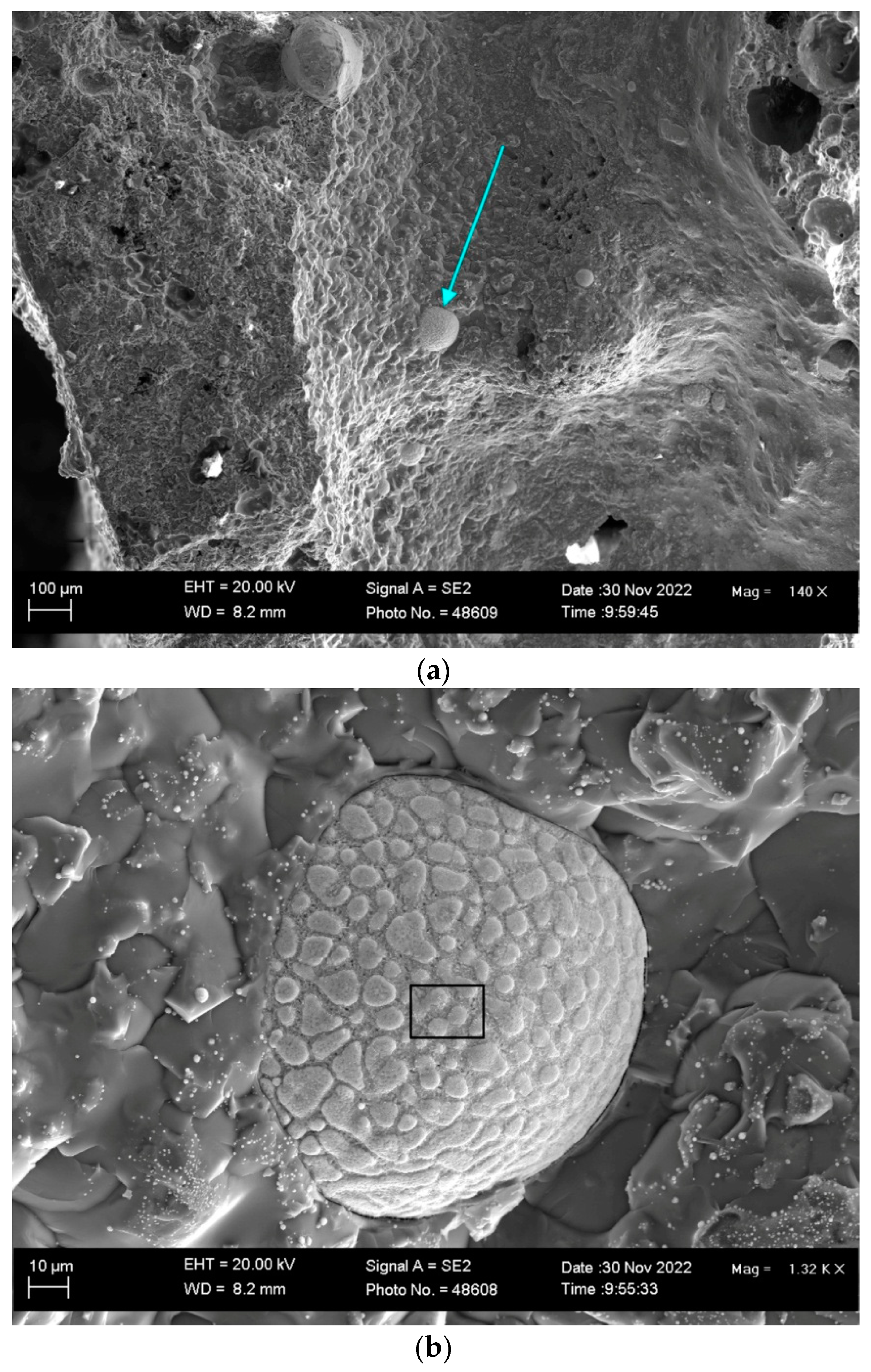 Processes 11 00351 g004a