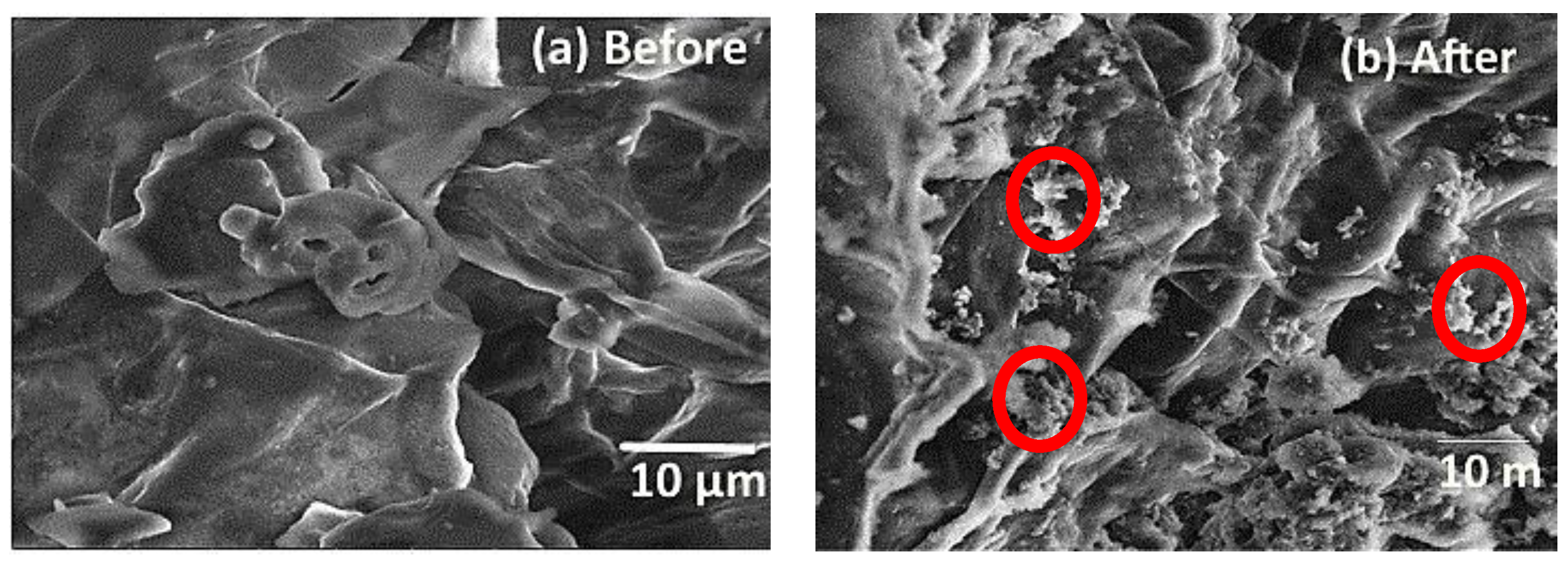 Processes 11 00363 g004