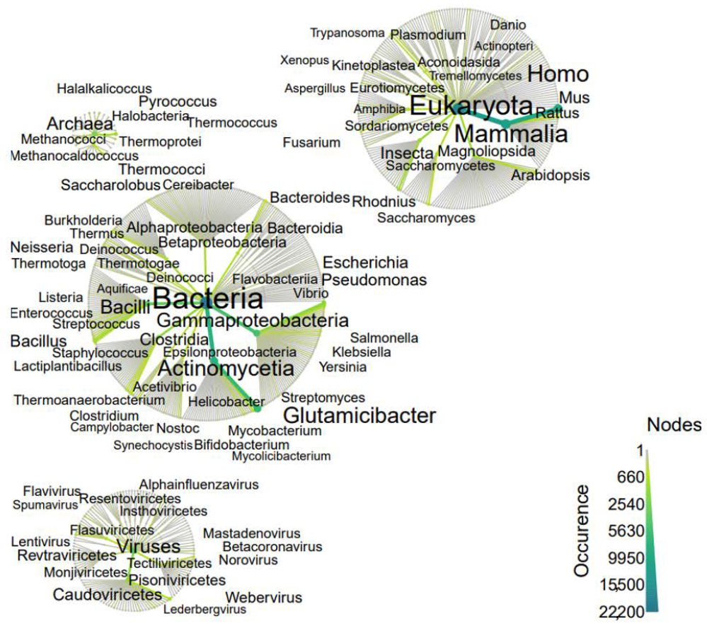 Processes 11 00368 g006