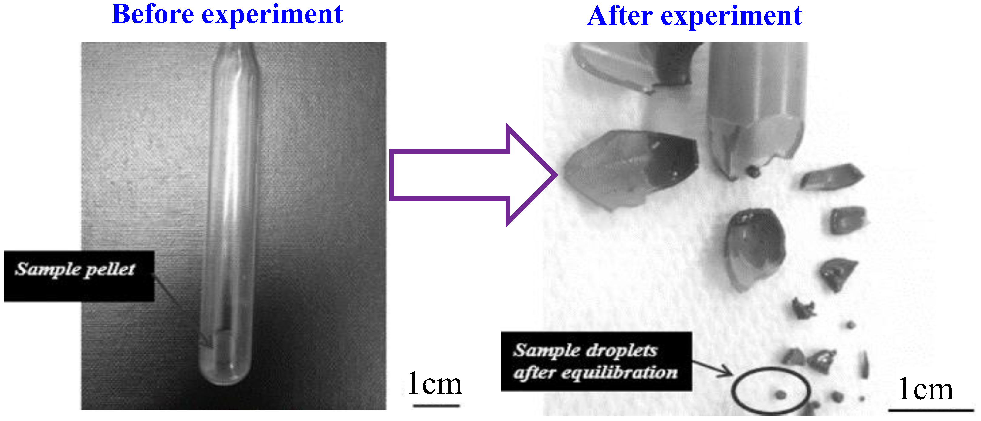 Processes 11 00372 g002