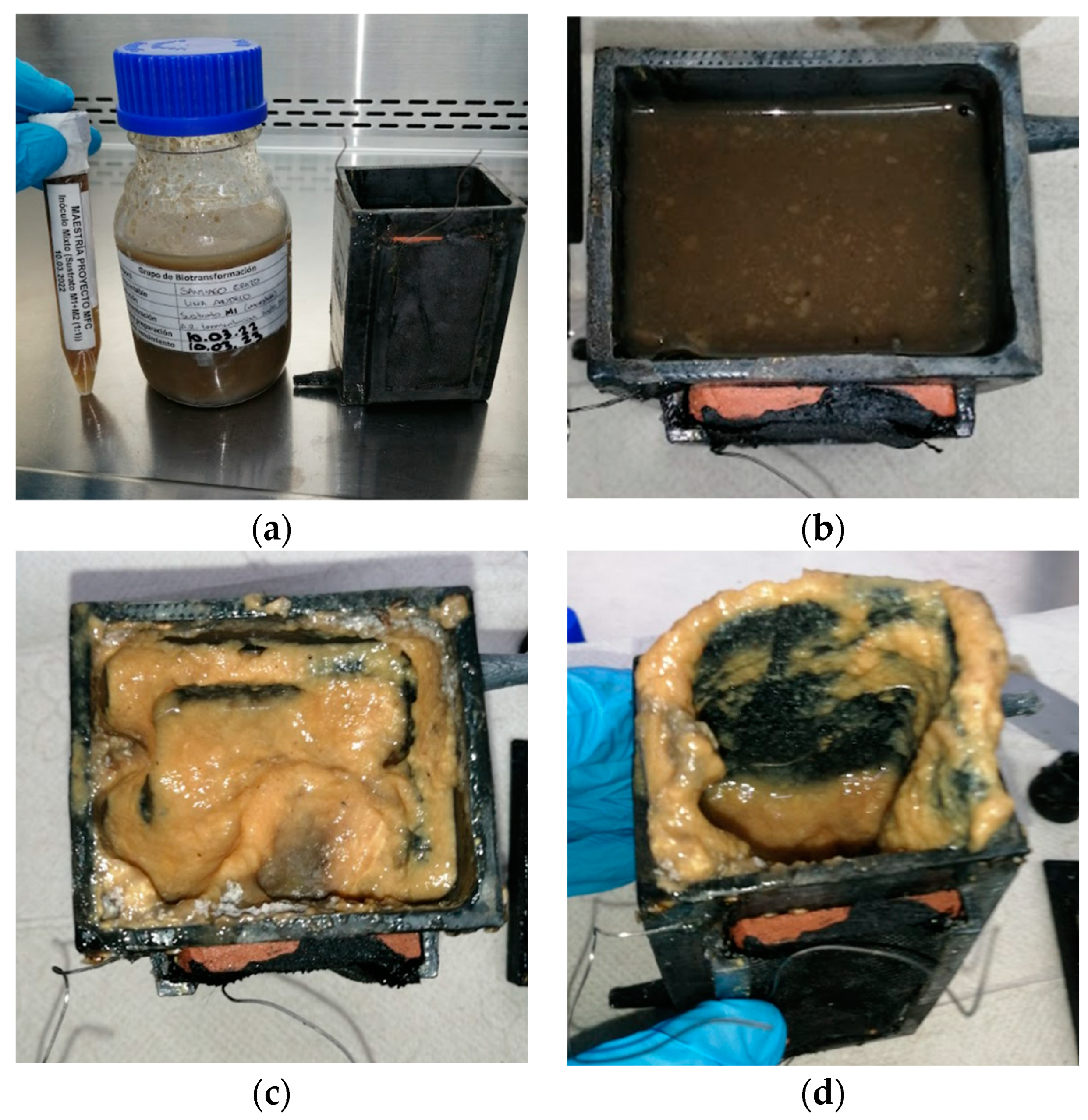 Processes 11 00373 g0a1 Processes 11 00373 g0a1