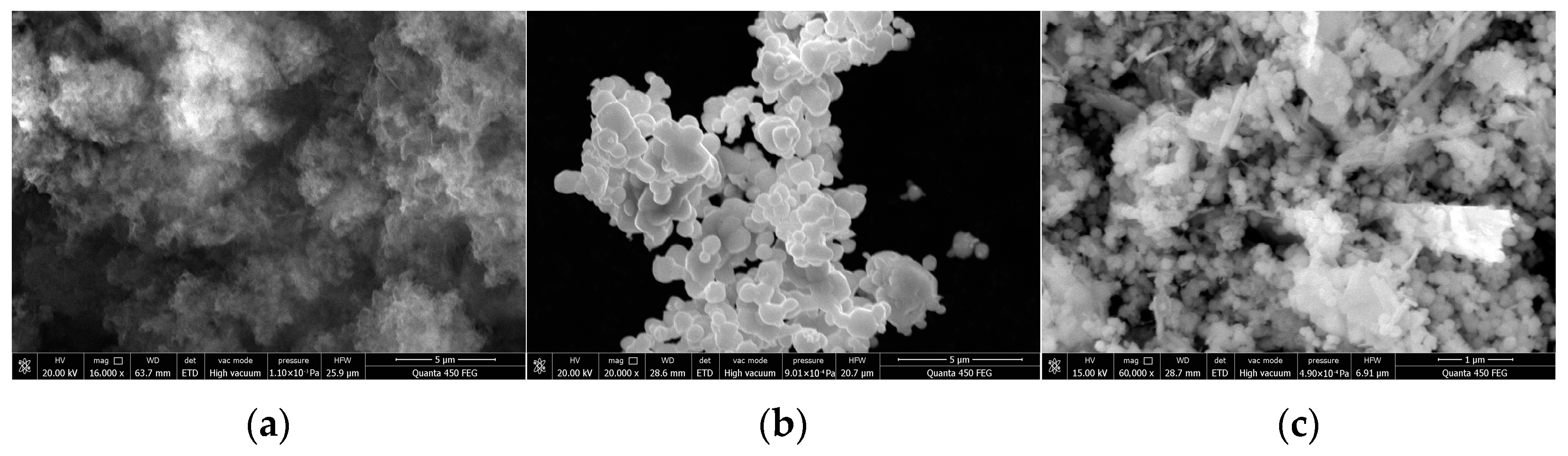 Processes 11 00375 g002