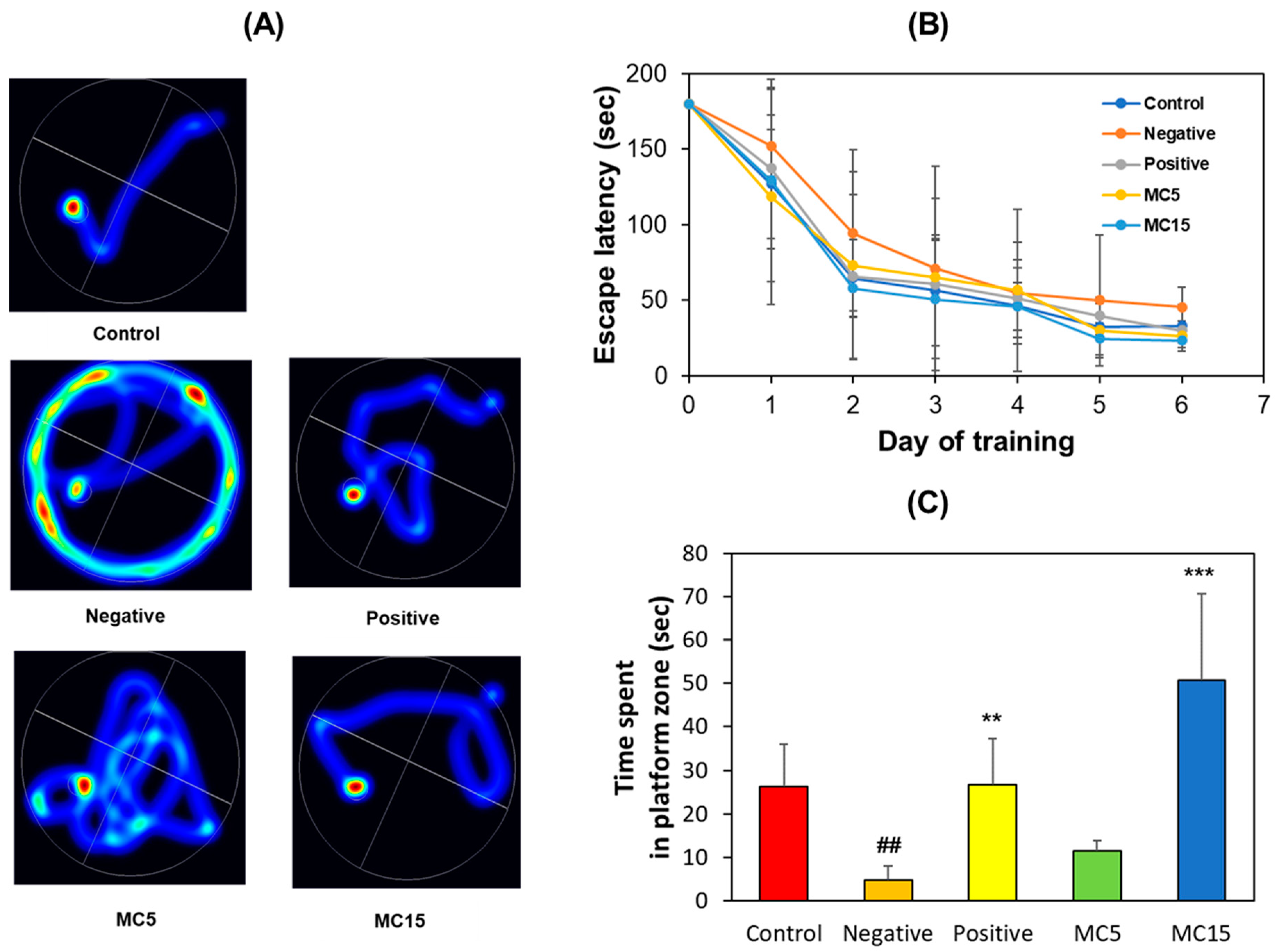 Processes 11 00385 g002