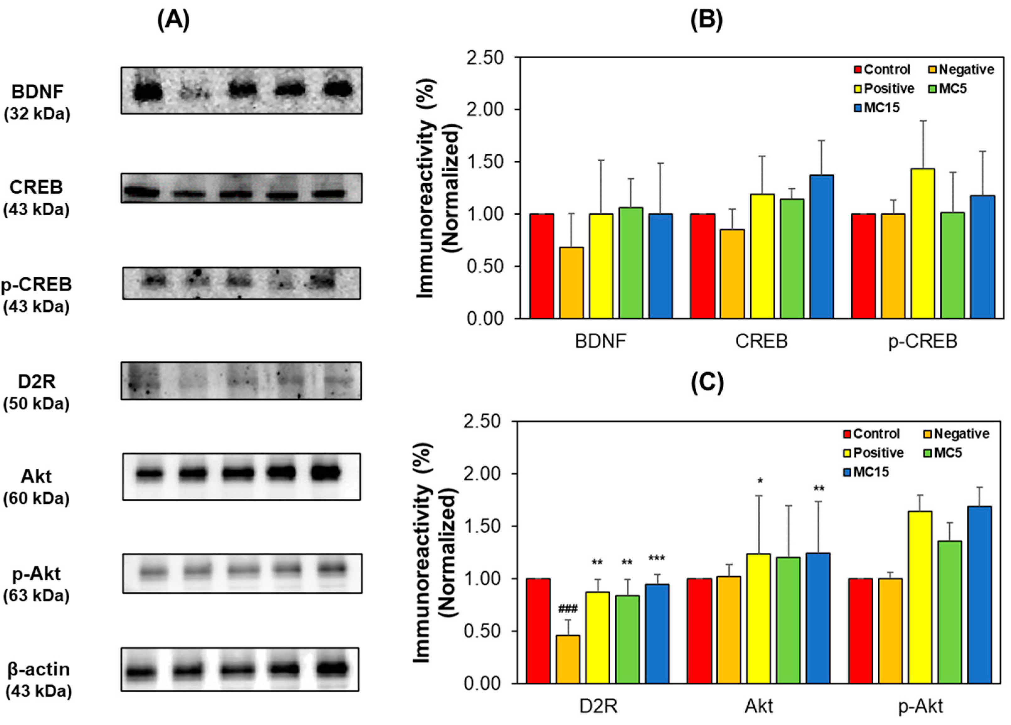 Processes 11 00385 g006