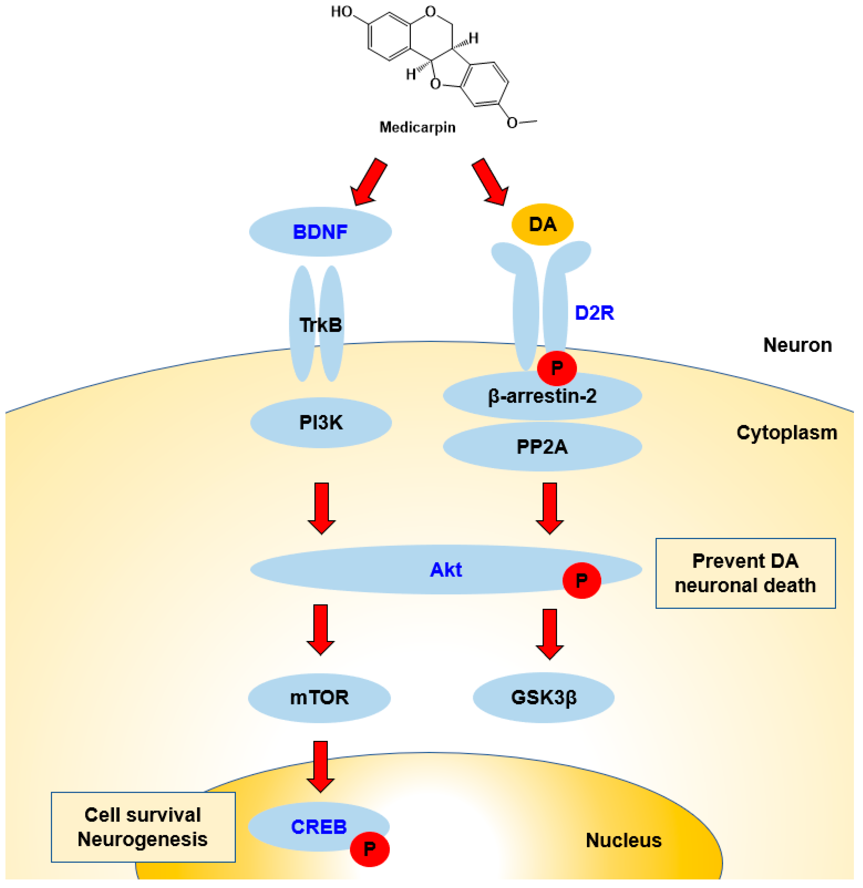 Processes 11 00385 g008