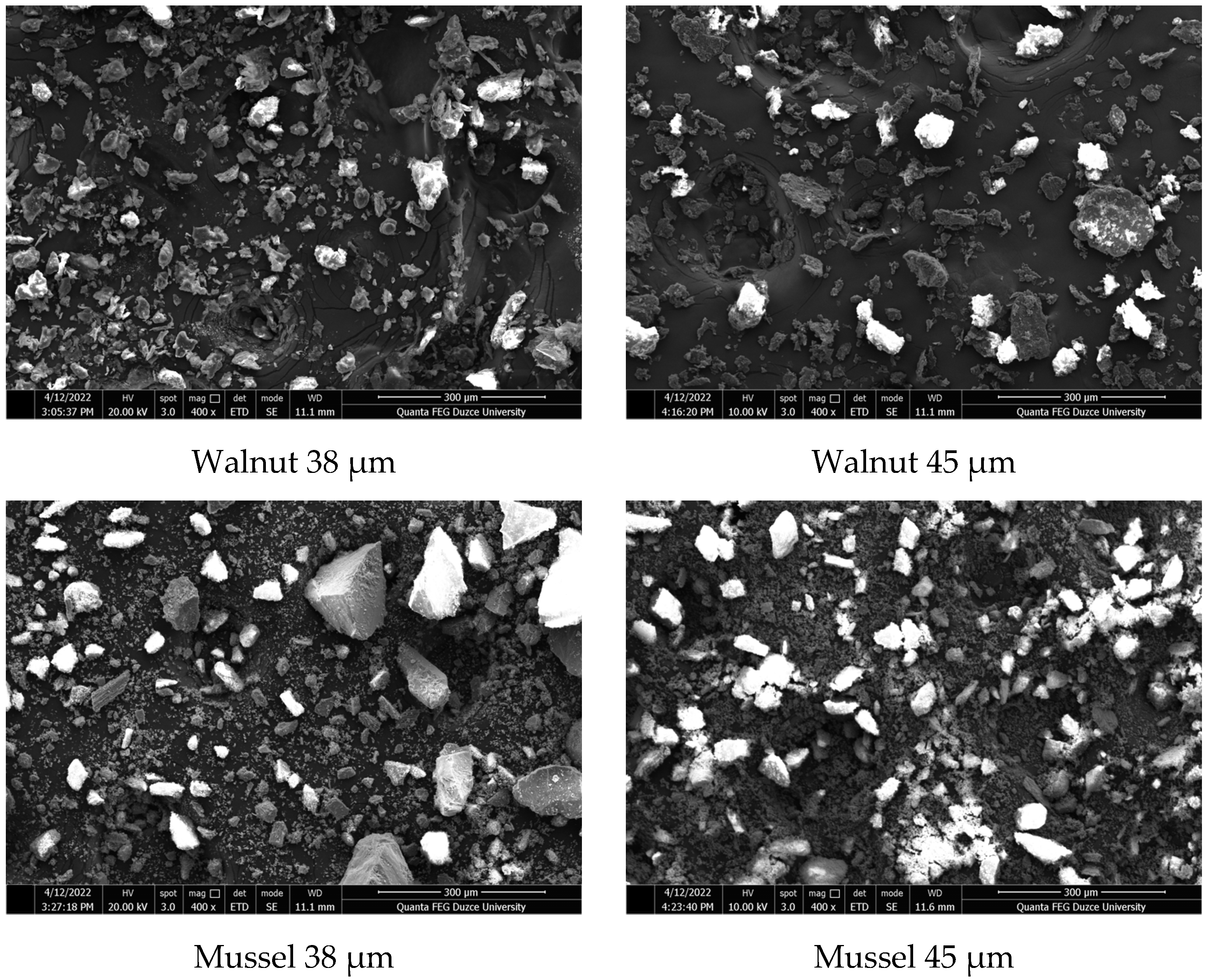 Processes 11 00406 g004a