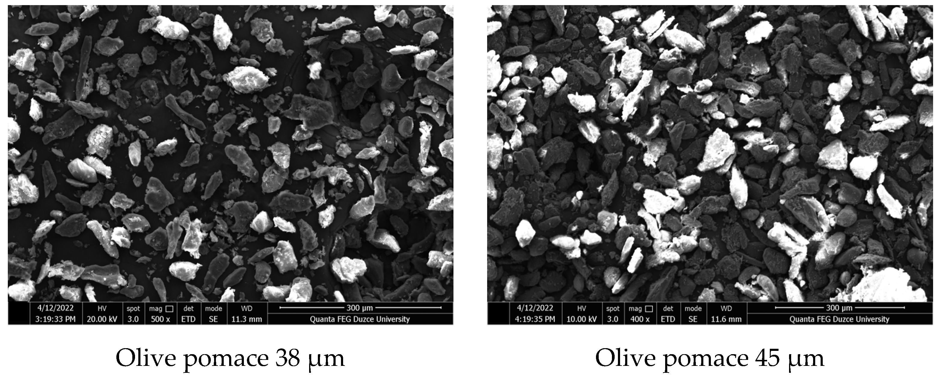Processes 11 00406 g004b