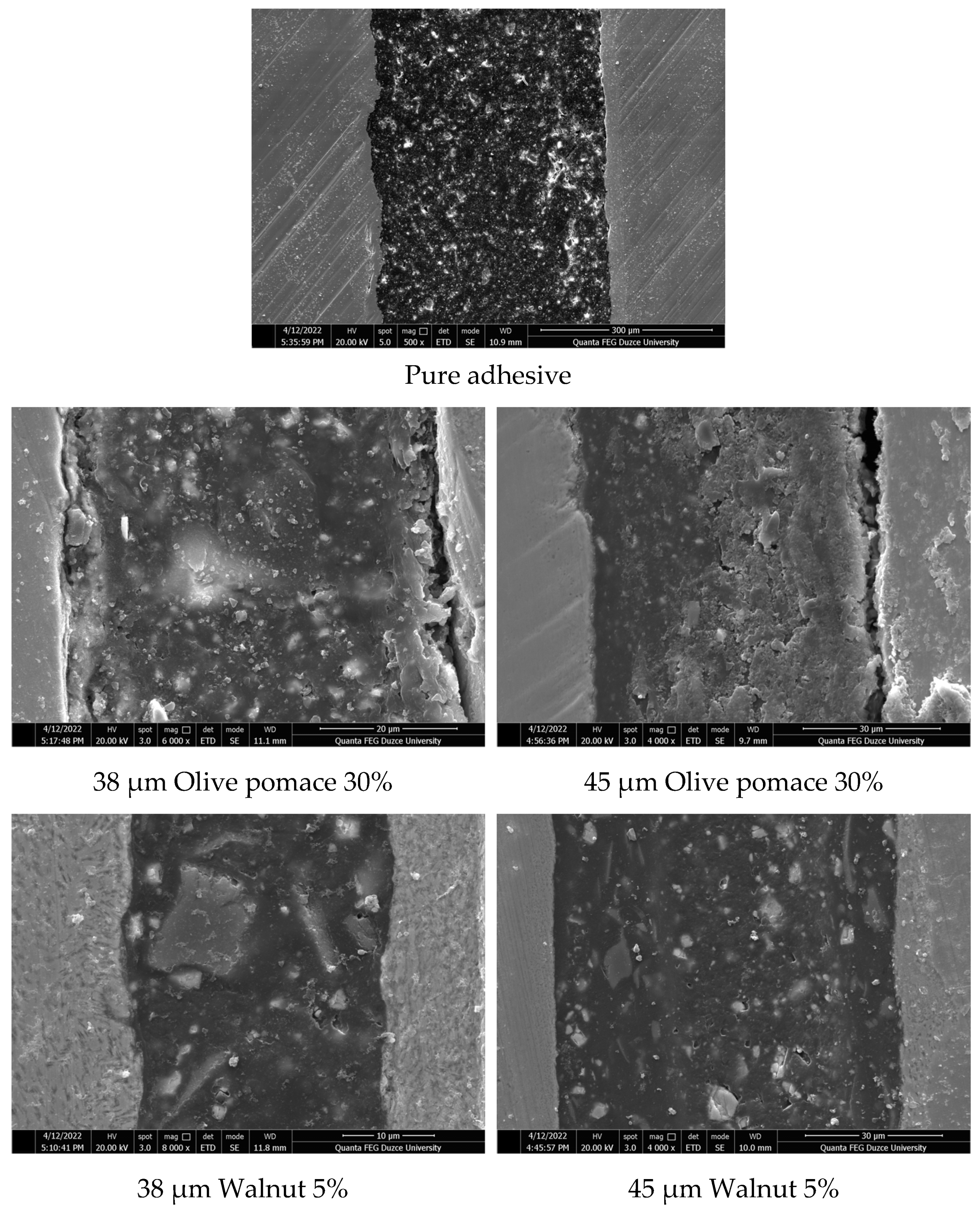 Processes 11 00406 g005a