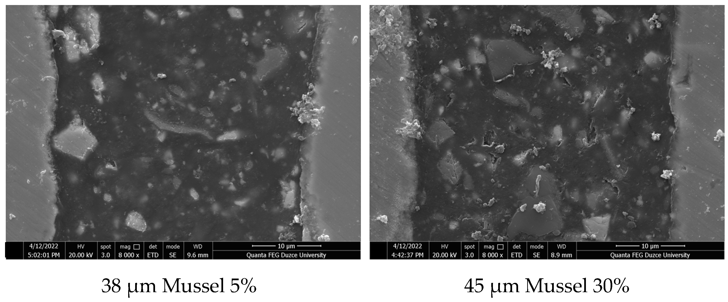 Processes 11 00406 g005b