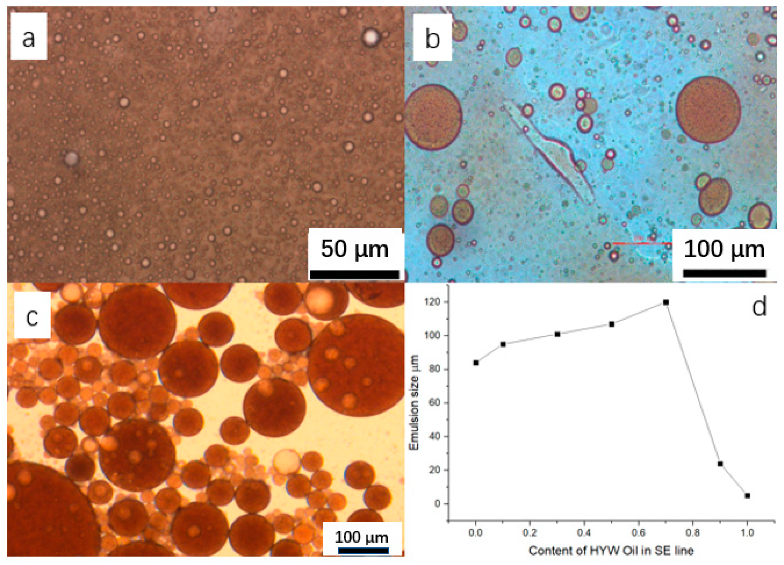 Processes 11 00409 g004