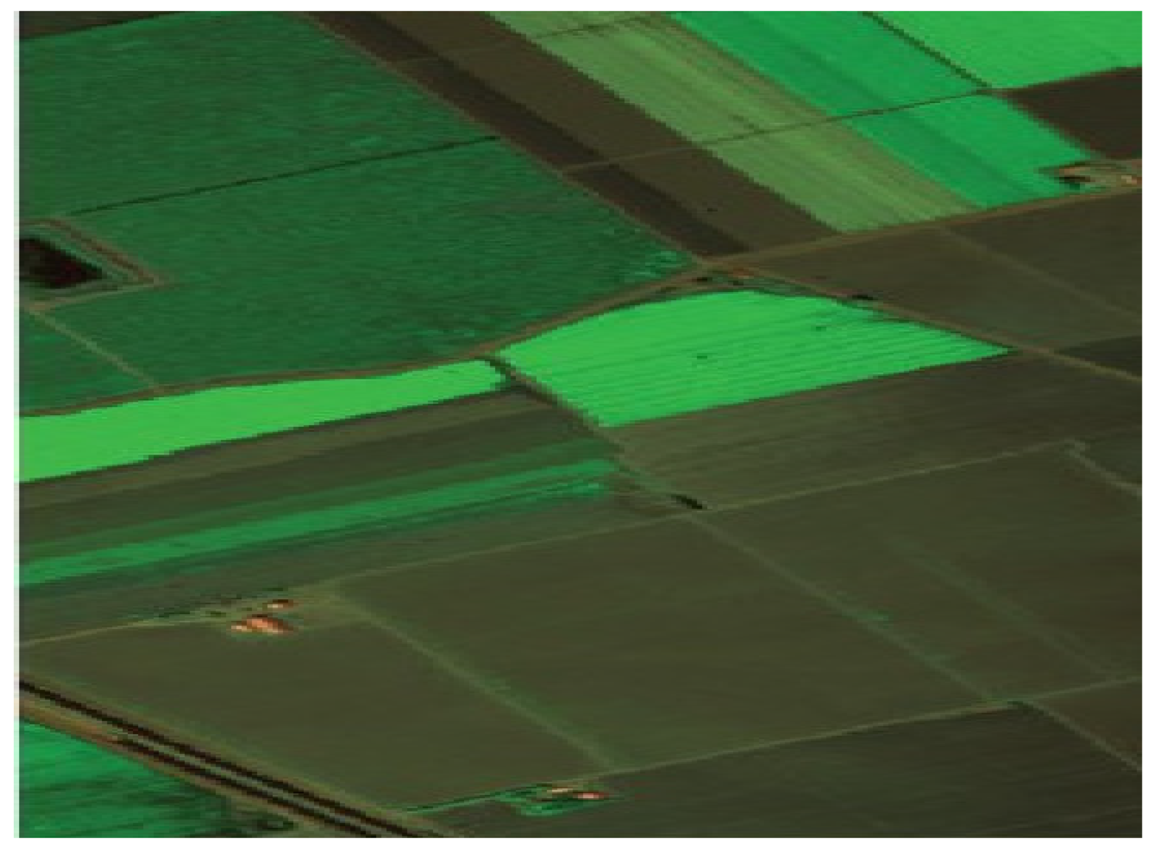 Processes 11 00435 g009