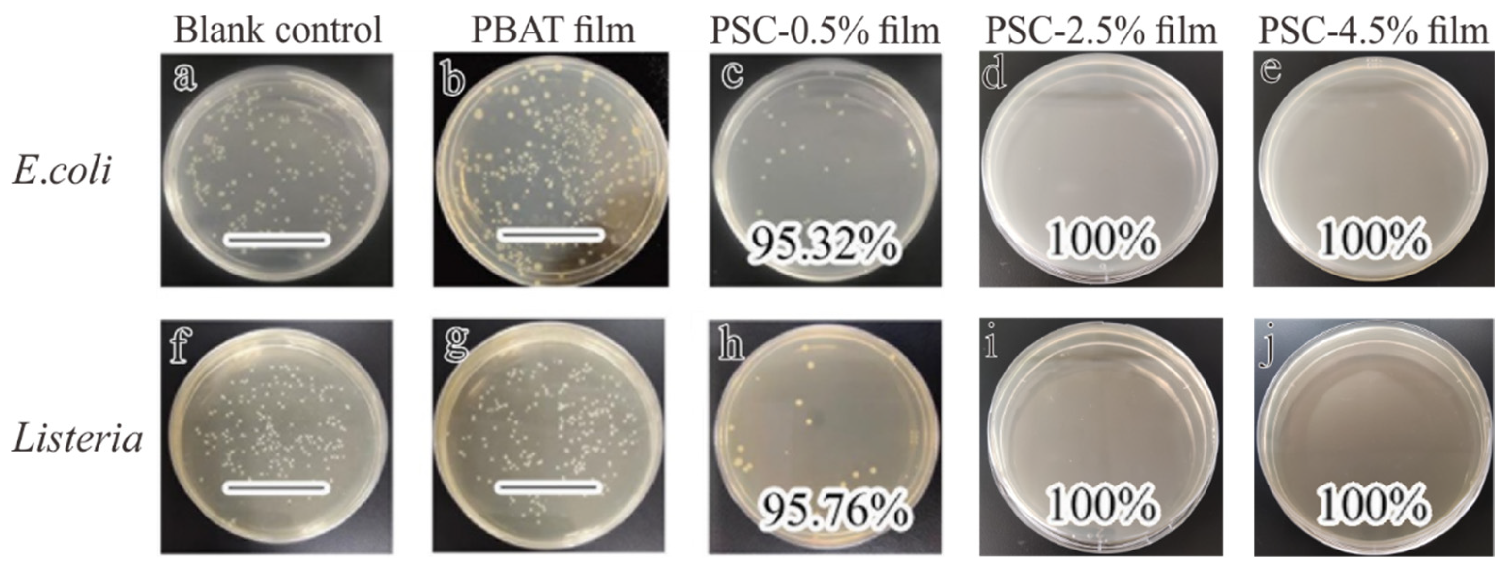Processes 11 00452 g001