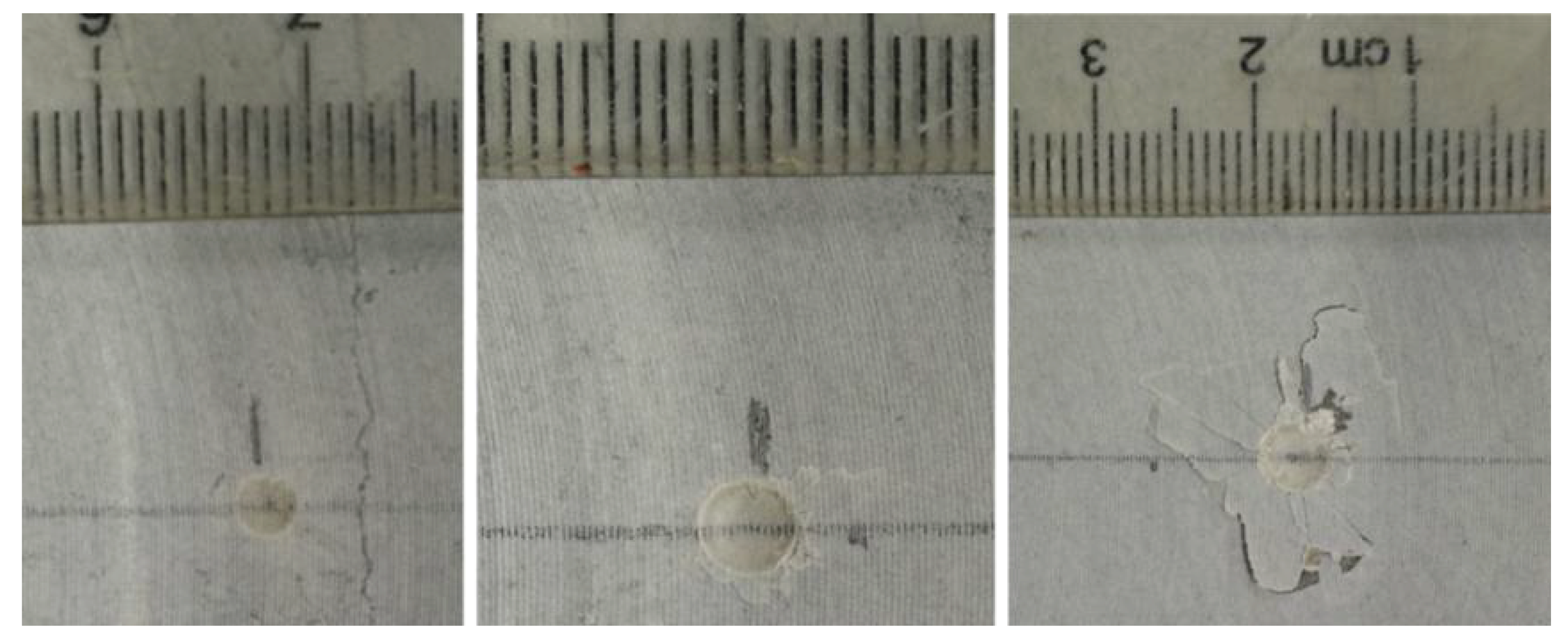 Processes 11 00464 g012