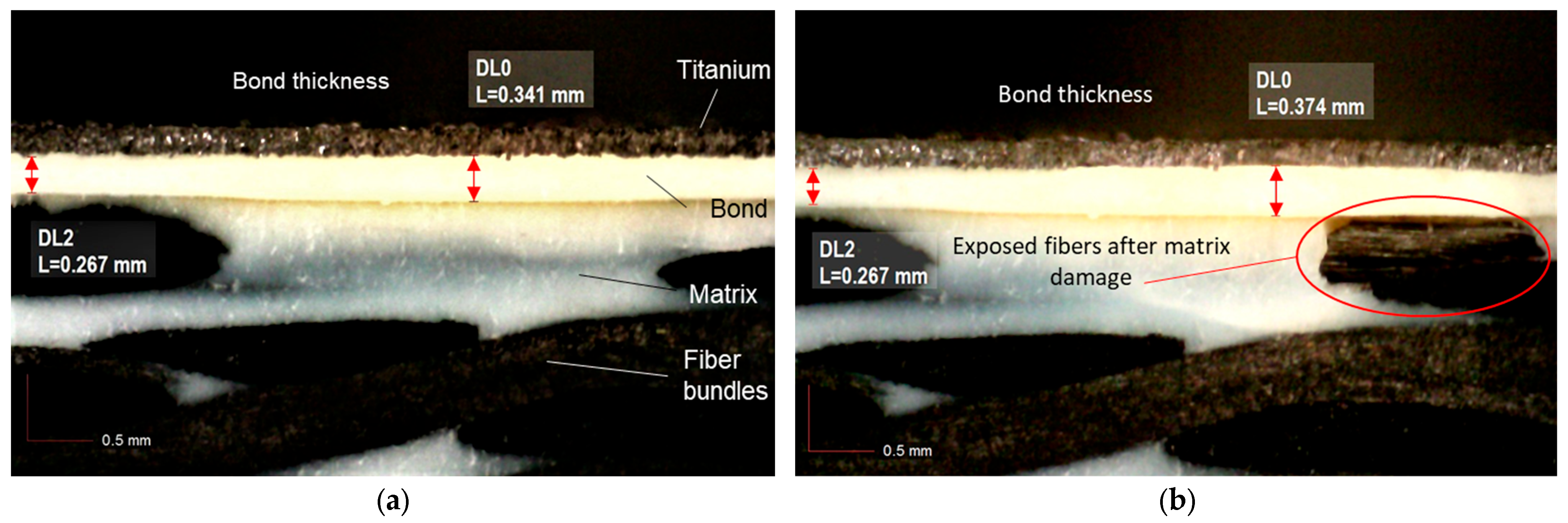 Processes 11 00506 g012
