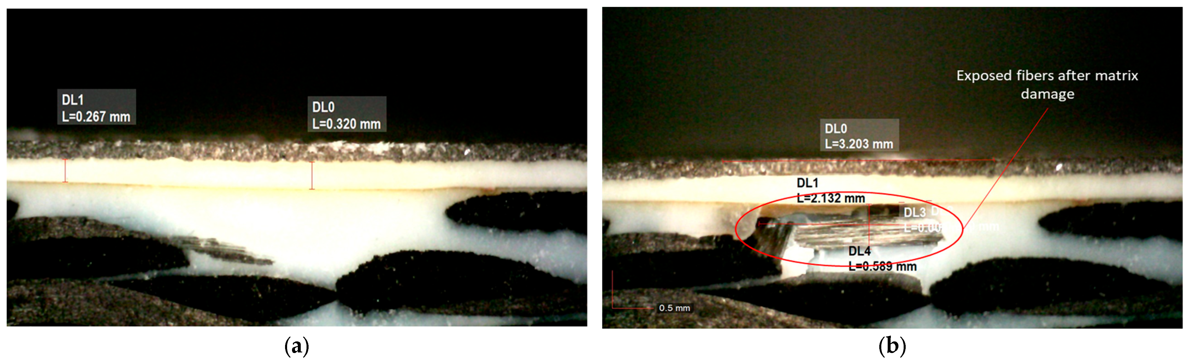 Processes 11 00506 g013