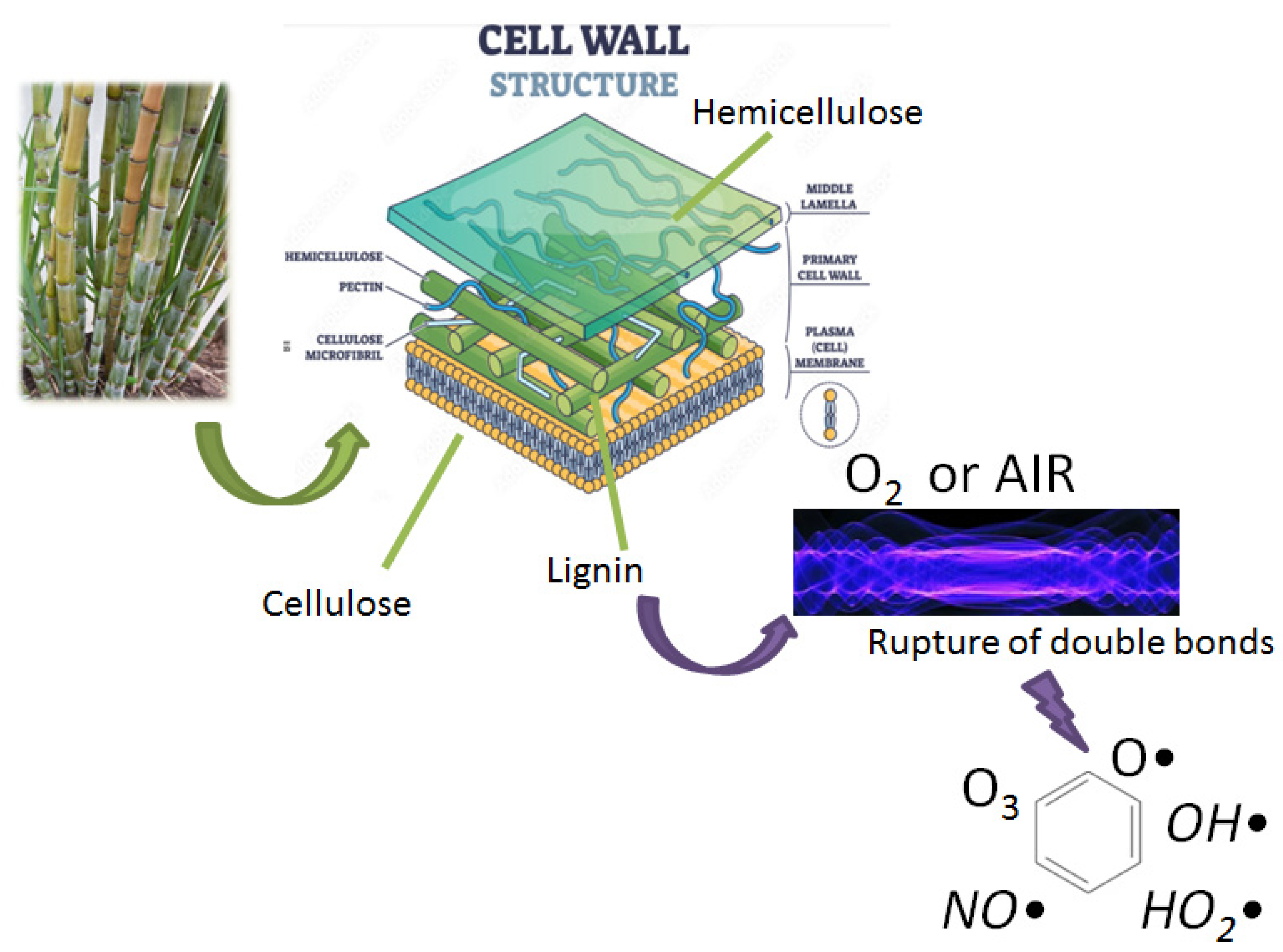 Processes 11 00536 g003