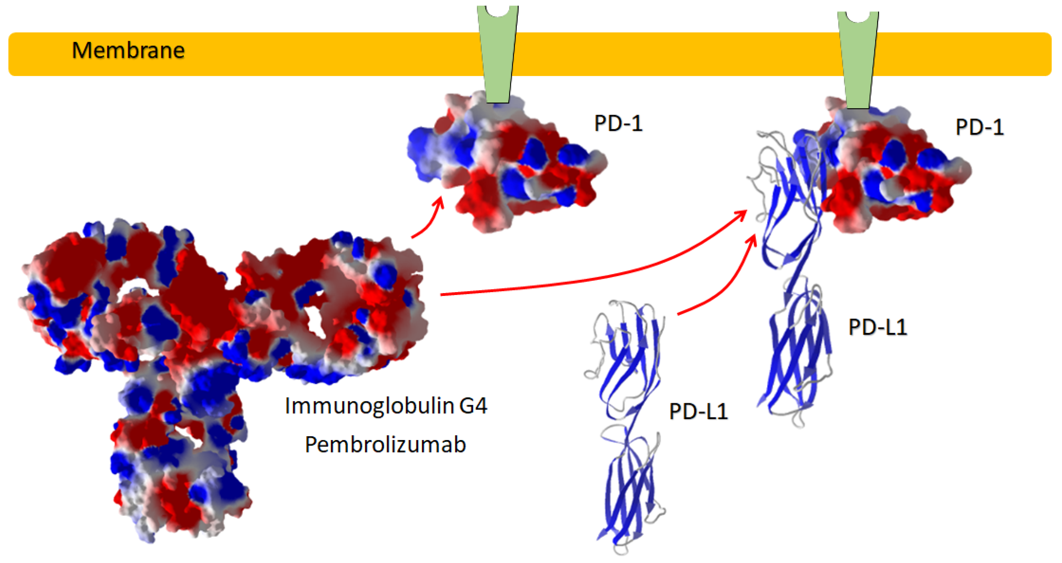 Processes 11 00538 g001