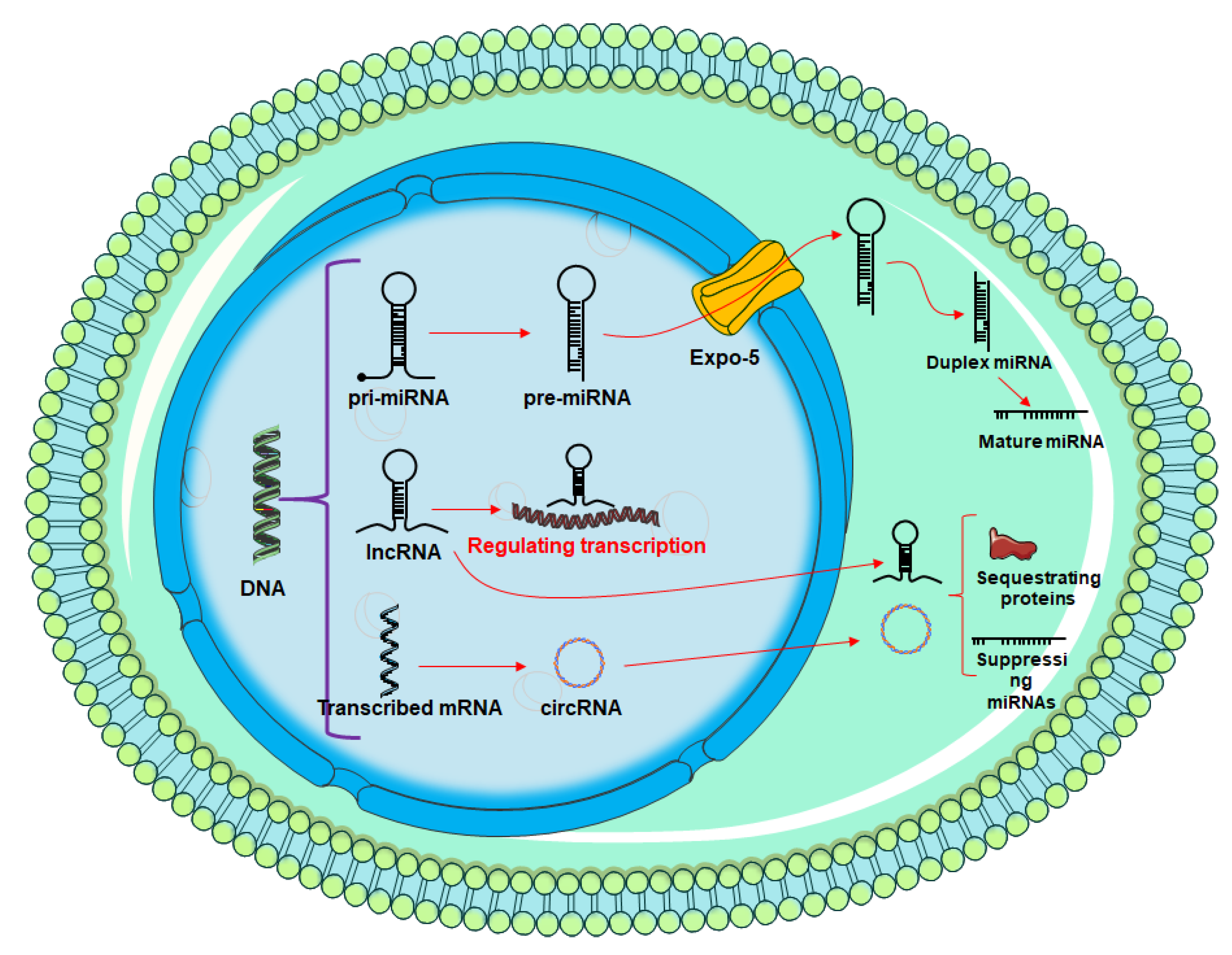 Processes 11 00538 g003