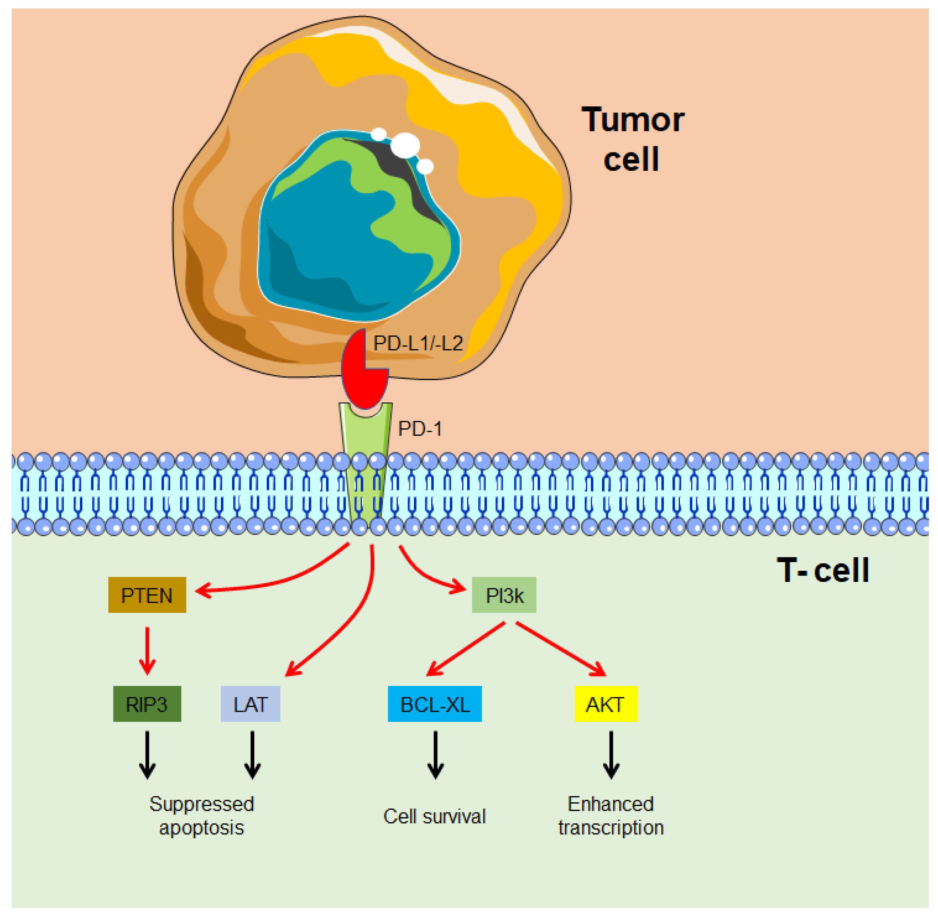 Processes 11 00538 g004
