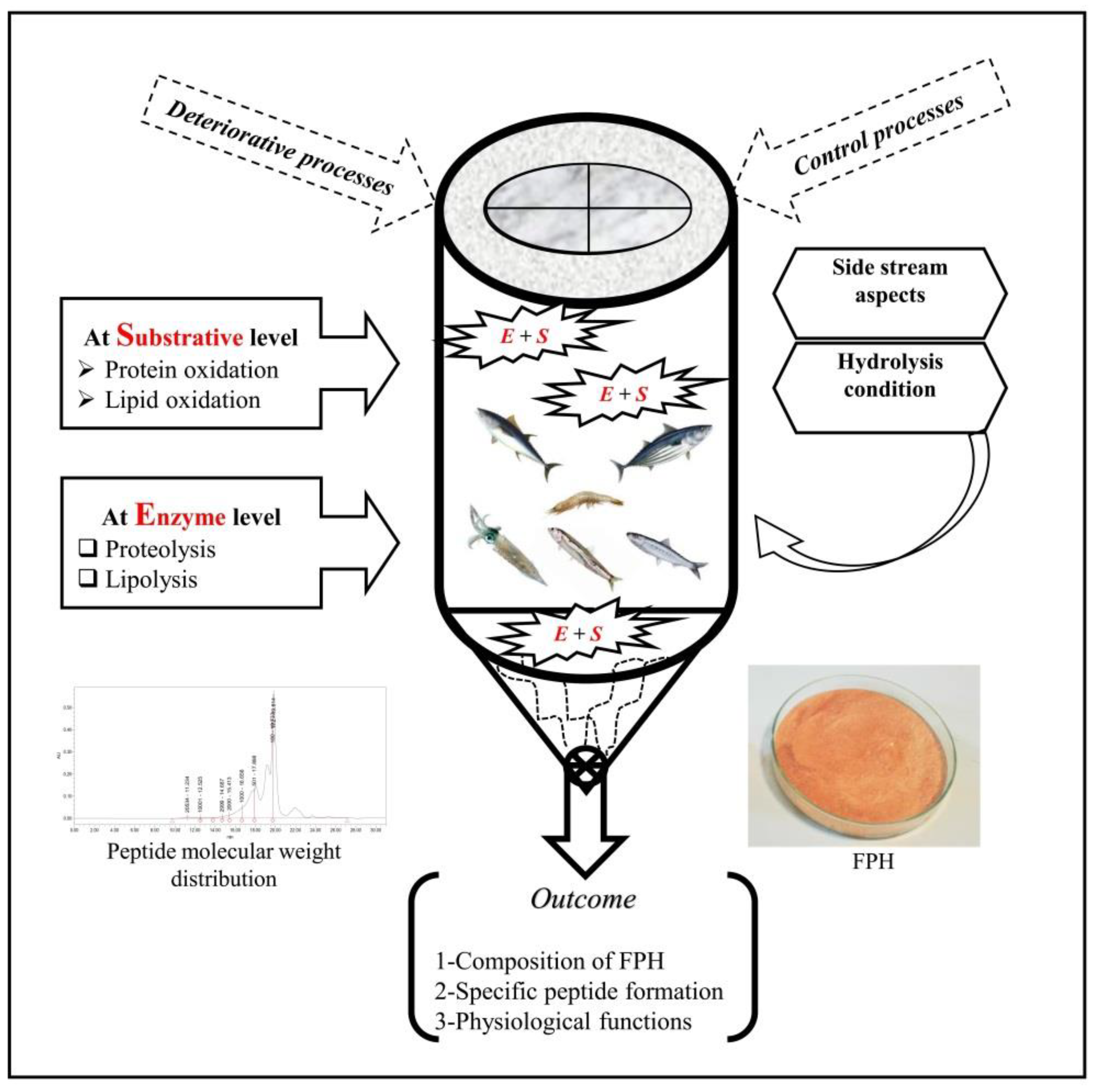 Processes 11 00543 g002