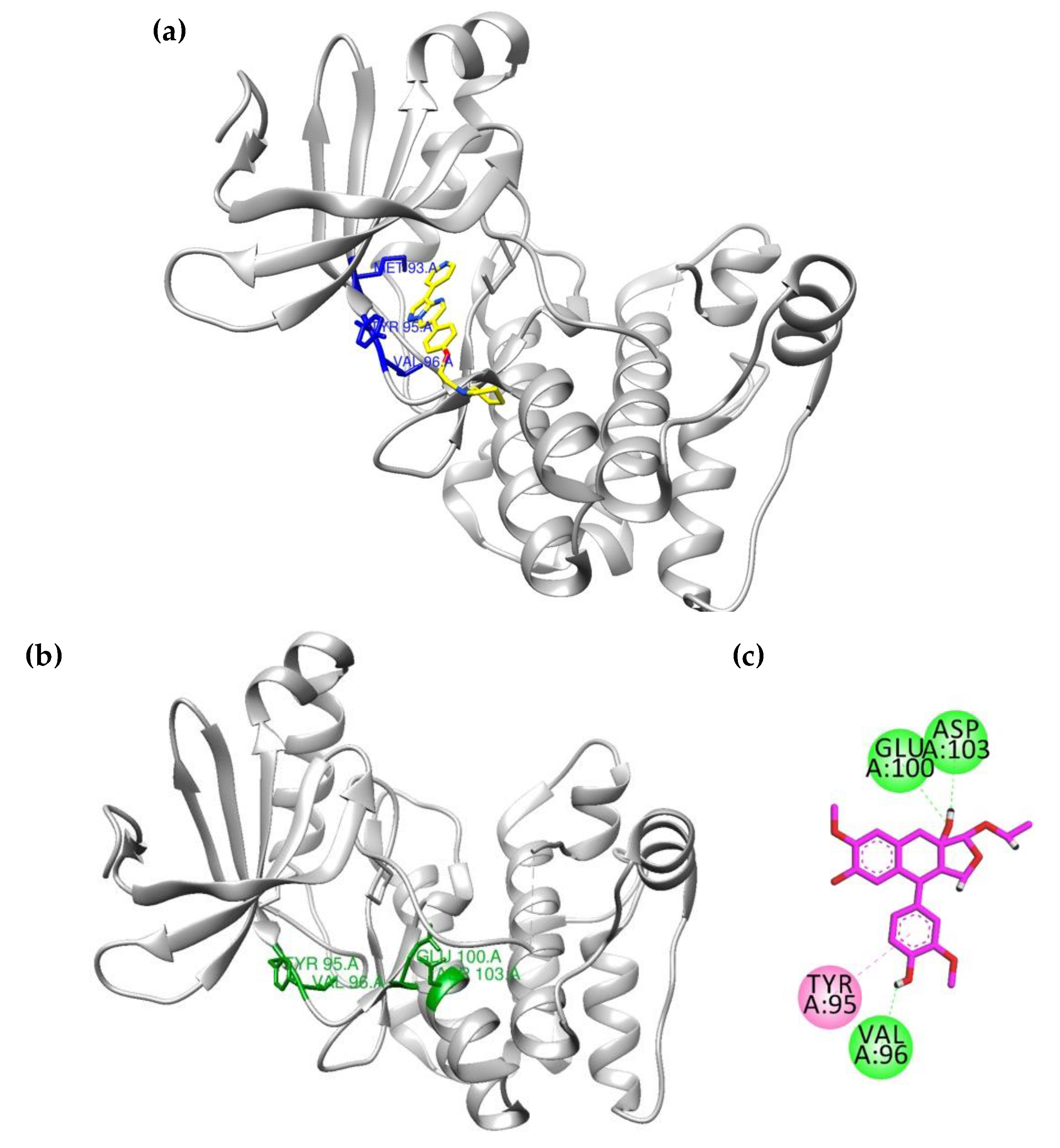 Processes 11 00545 g005