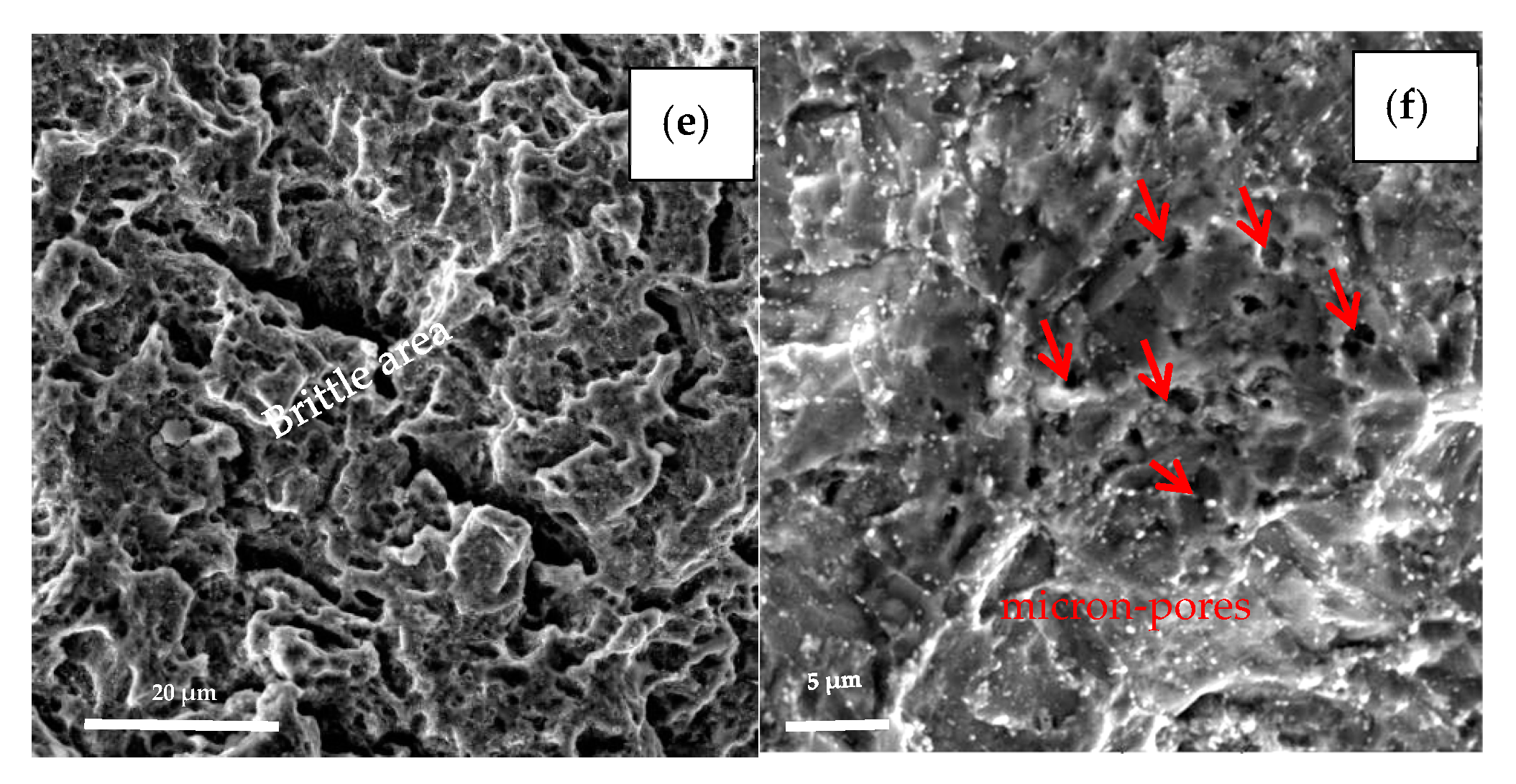 Processes 11 00548 g009b