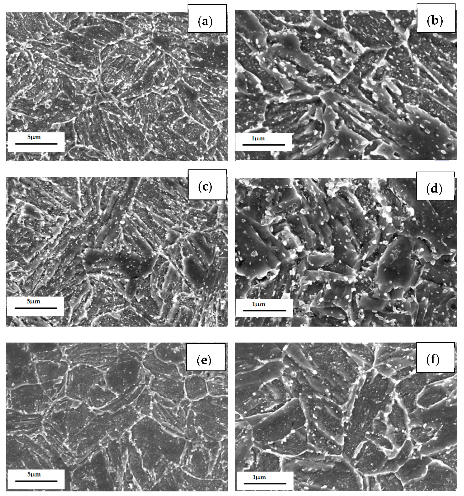 Processes 11 00548 g010
