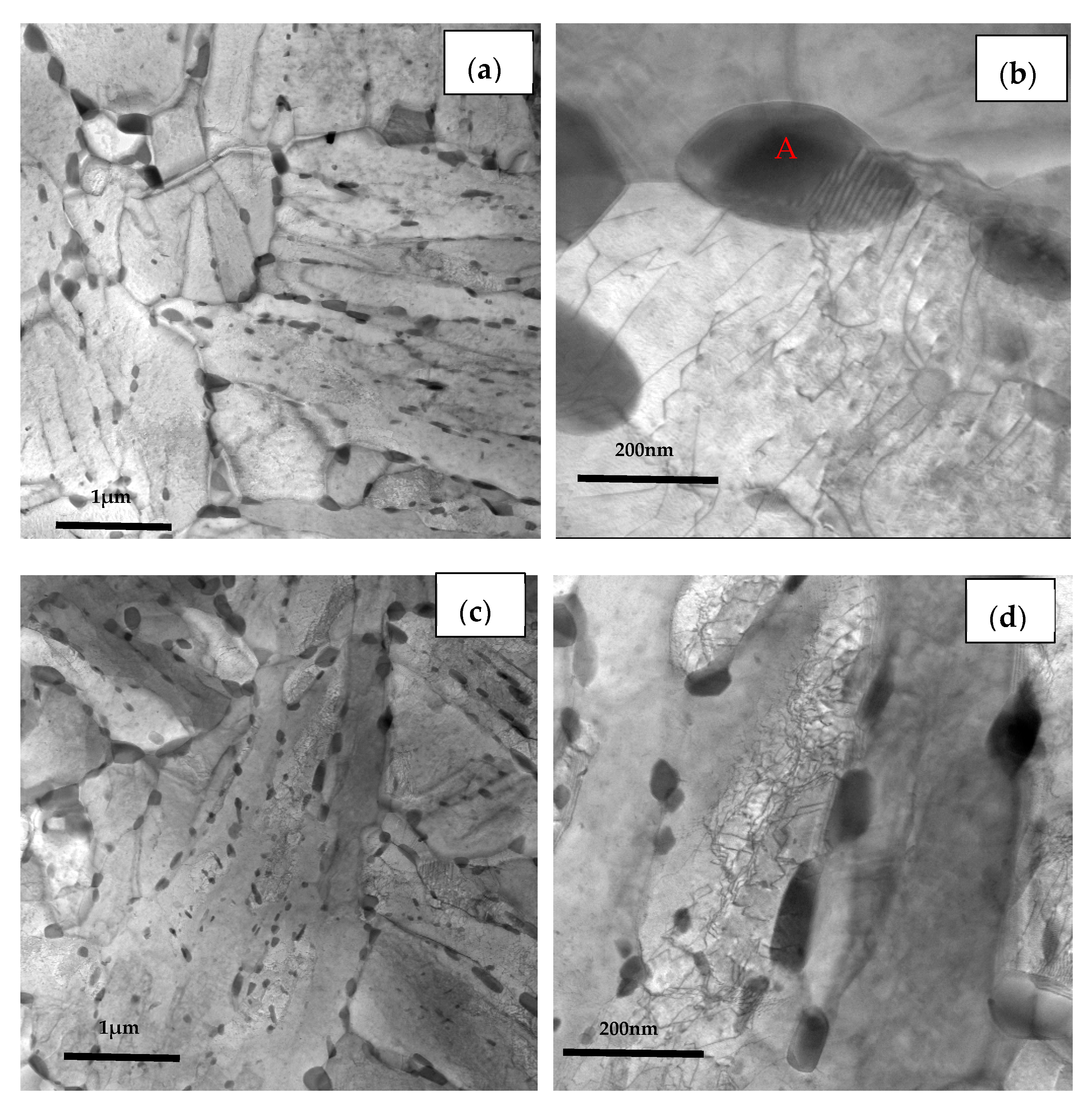 Processes 11 00548 g011a